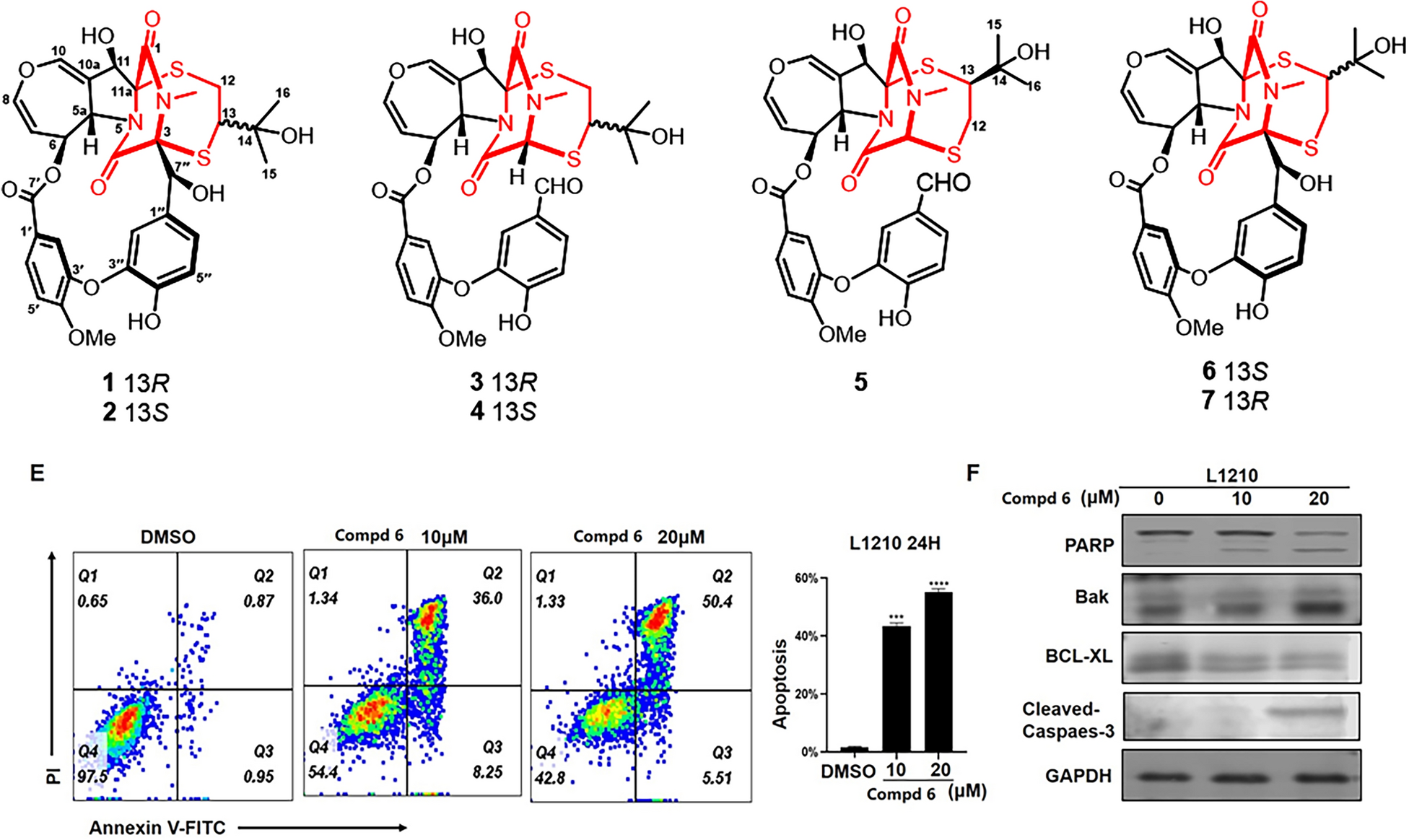 Emestrin-type epipolythiodioxopiperazines from  with cytotoxic activities by regulating PI3K/AKT and mitochondrial apoptotic pathways