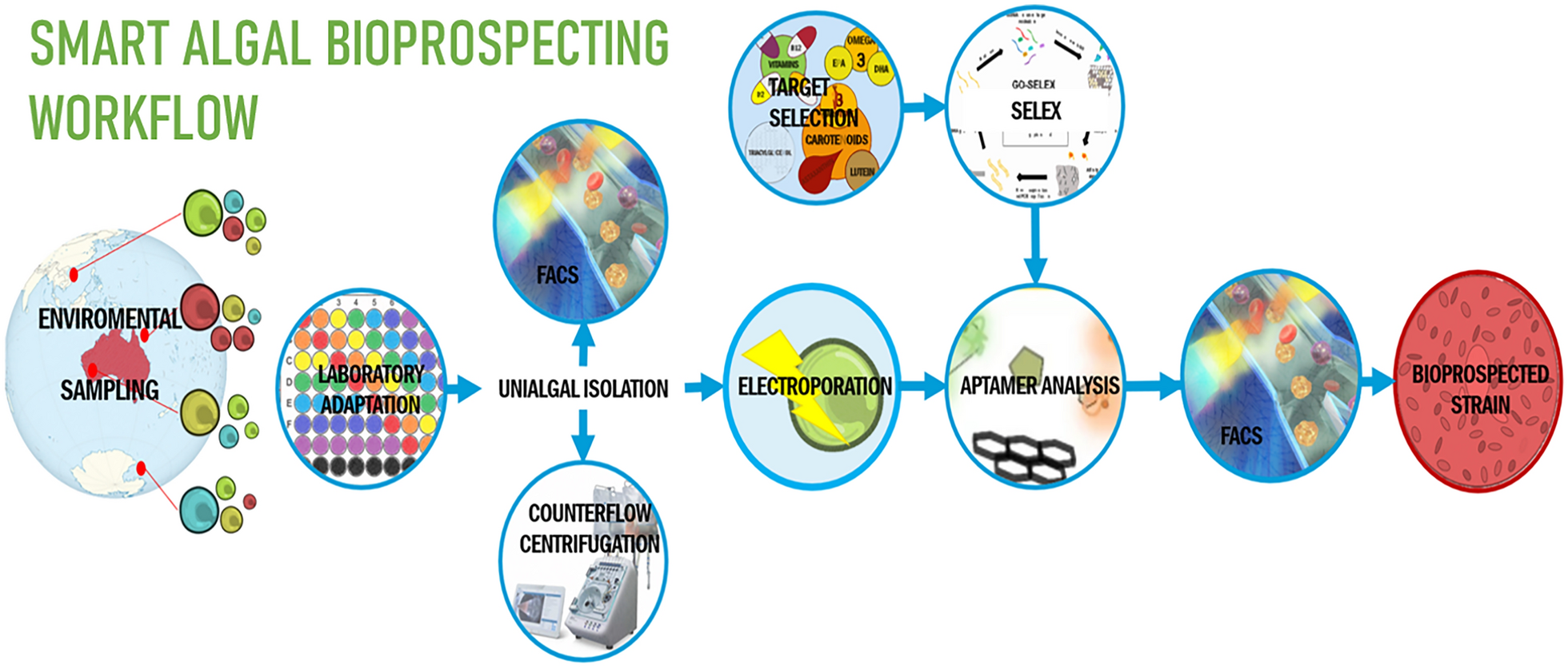The need for smart microalgal bioprospecting