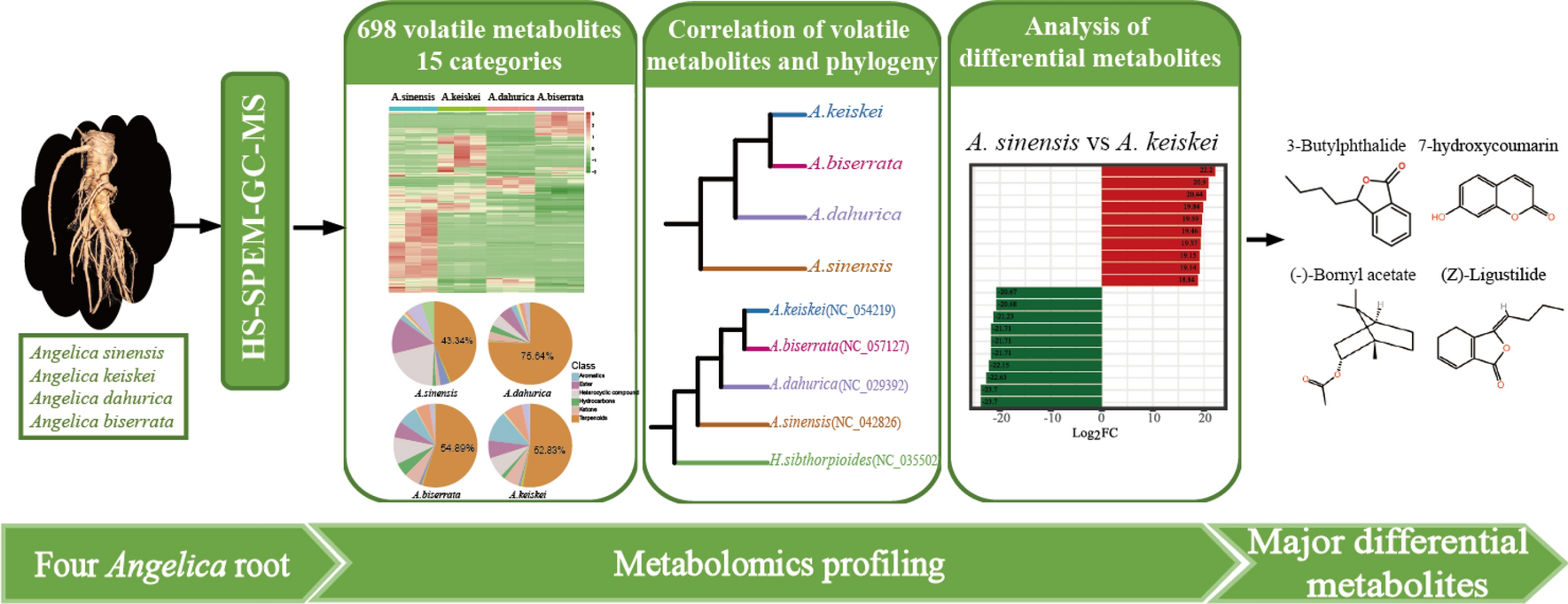 Widely targeted metabolomics analysis reveals differences in volatile metabolites among four  species