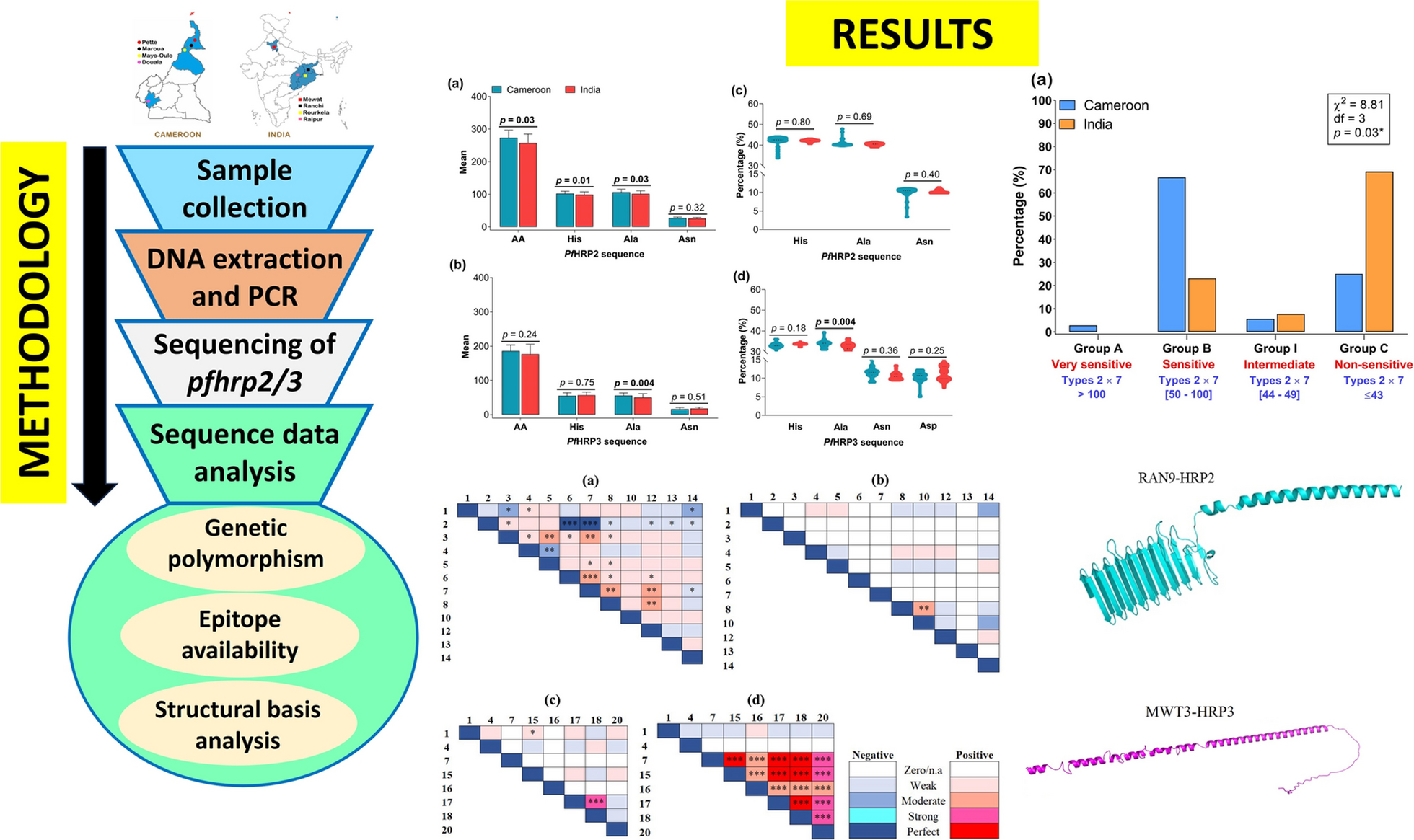 Contrasting sequence polymorphism and structural basis patterns of  histidine-rich proteins 2/3 in Cameroon and India