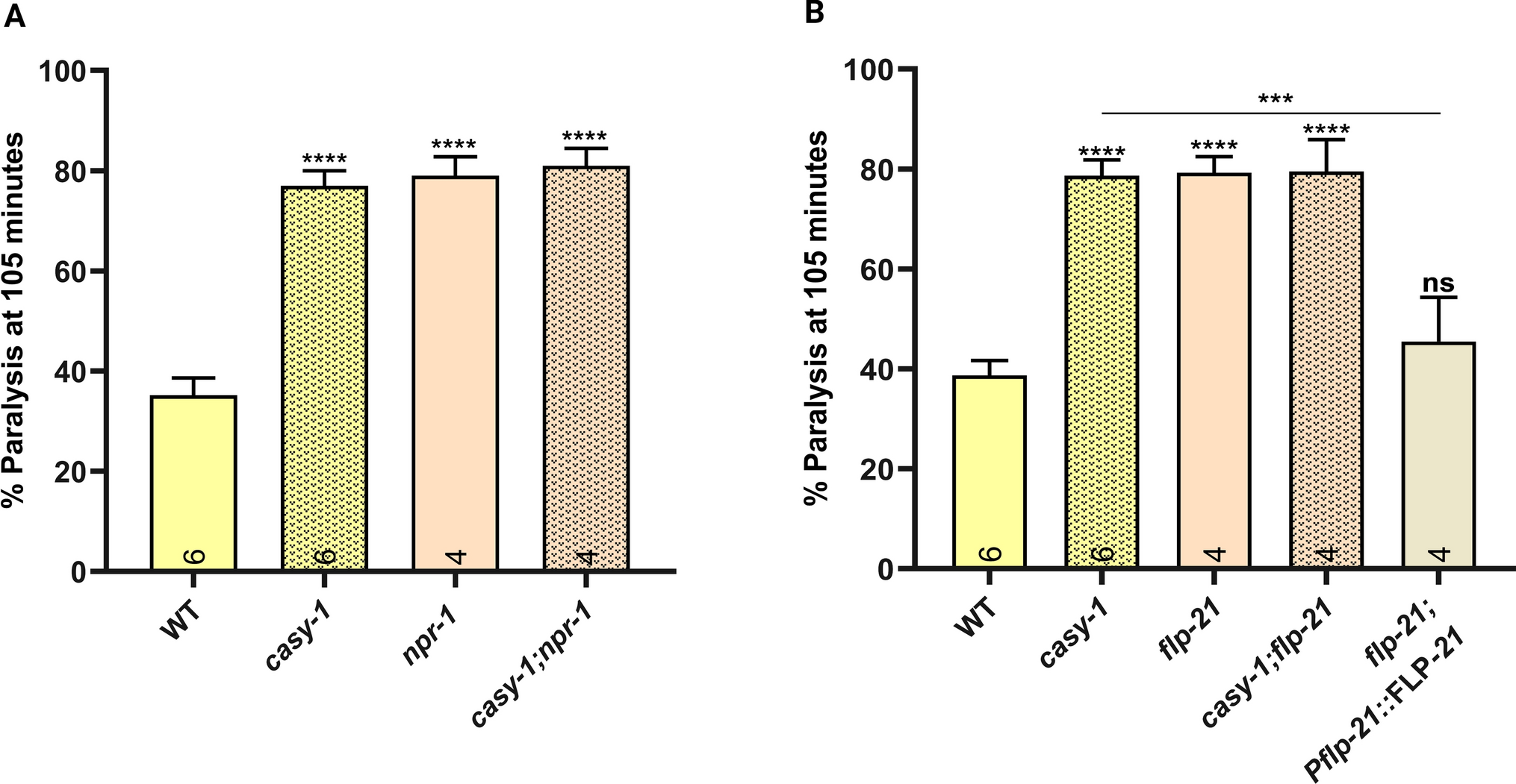 Sensory modulation of neuropeptide signaling by CASY-1 gates cholinergic transmission at  neuromuscular junction