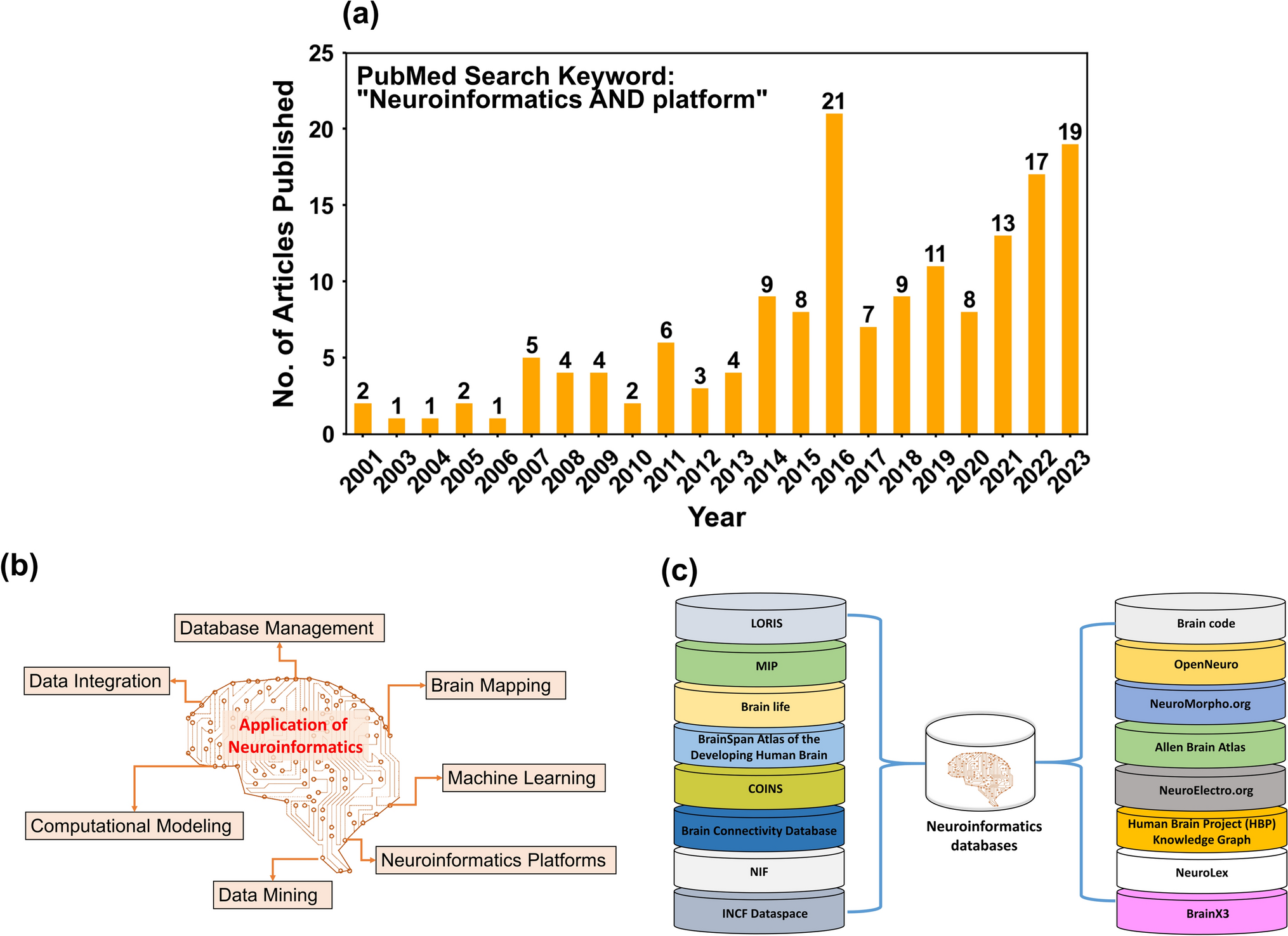 From data to discovery: Neuroinformatics in understanding Alzheimer's disease