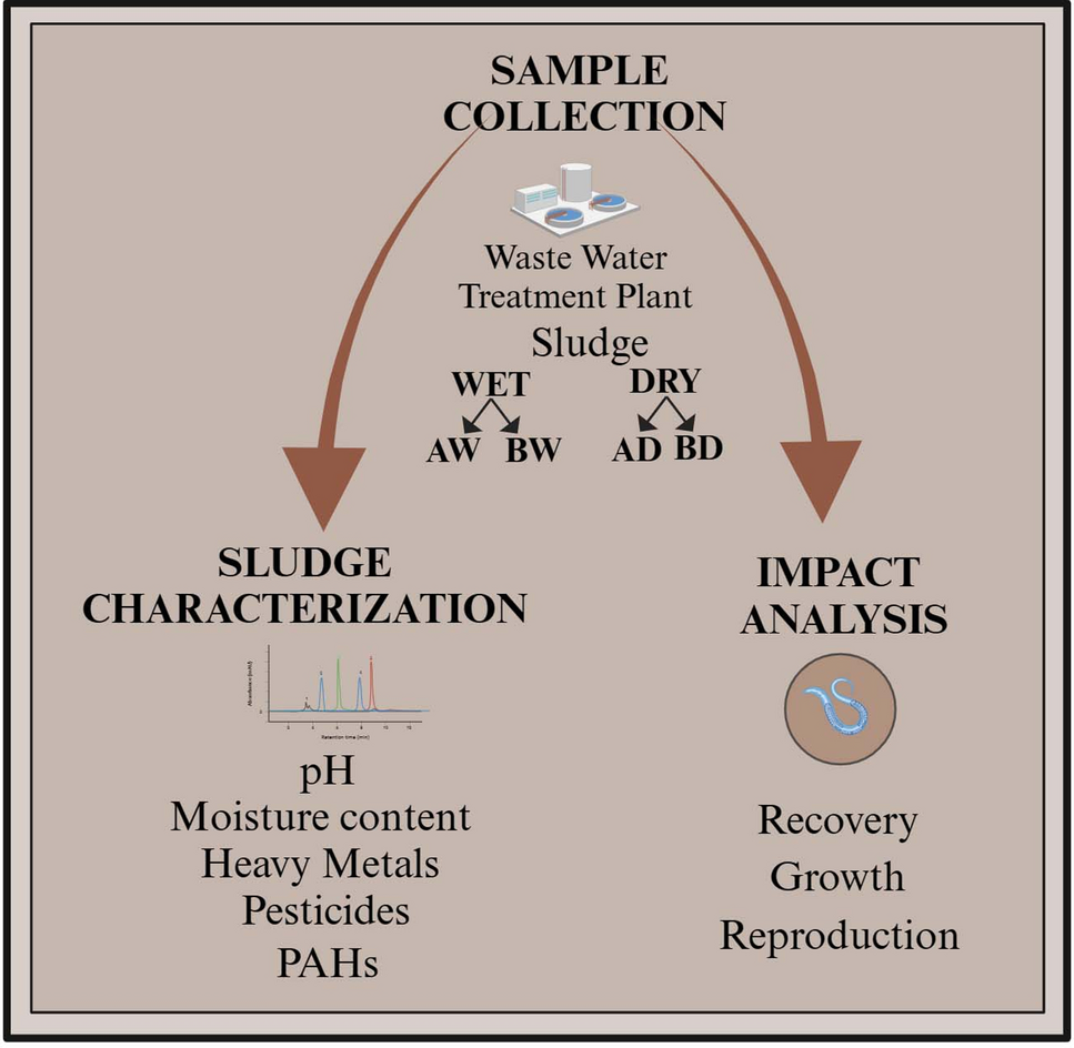 Toxicity assessment of wastewater treatment plant sludge using