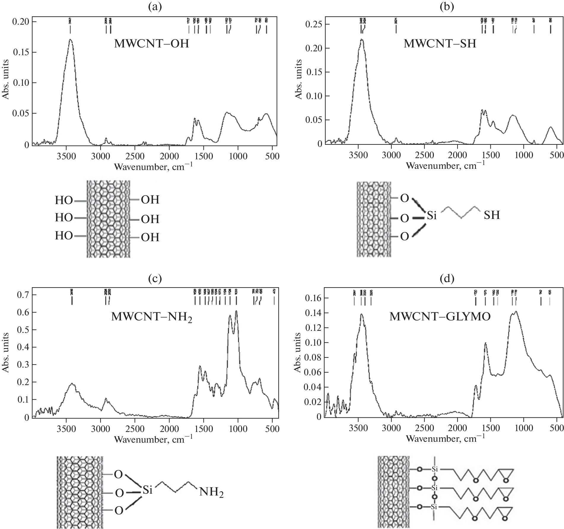On the Functionalization of Multi-Walled Carbon Nanotubes and Their Application in Nanobiocatalysis