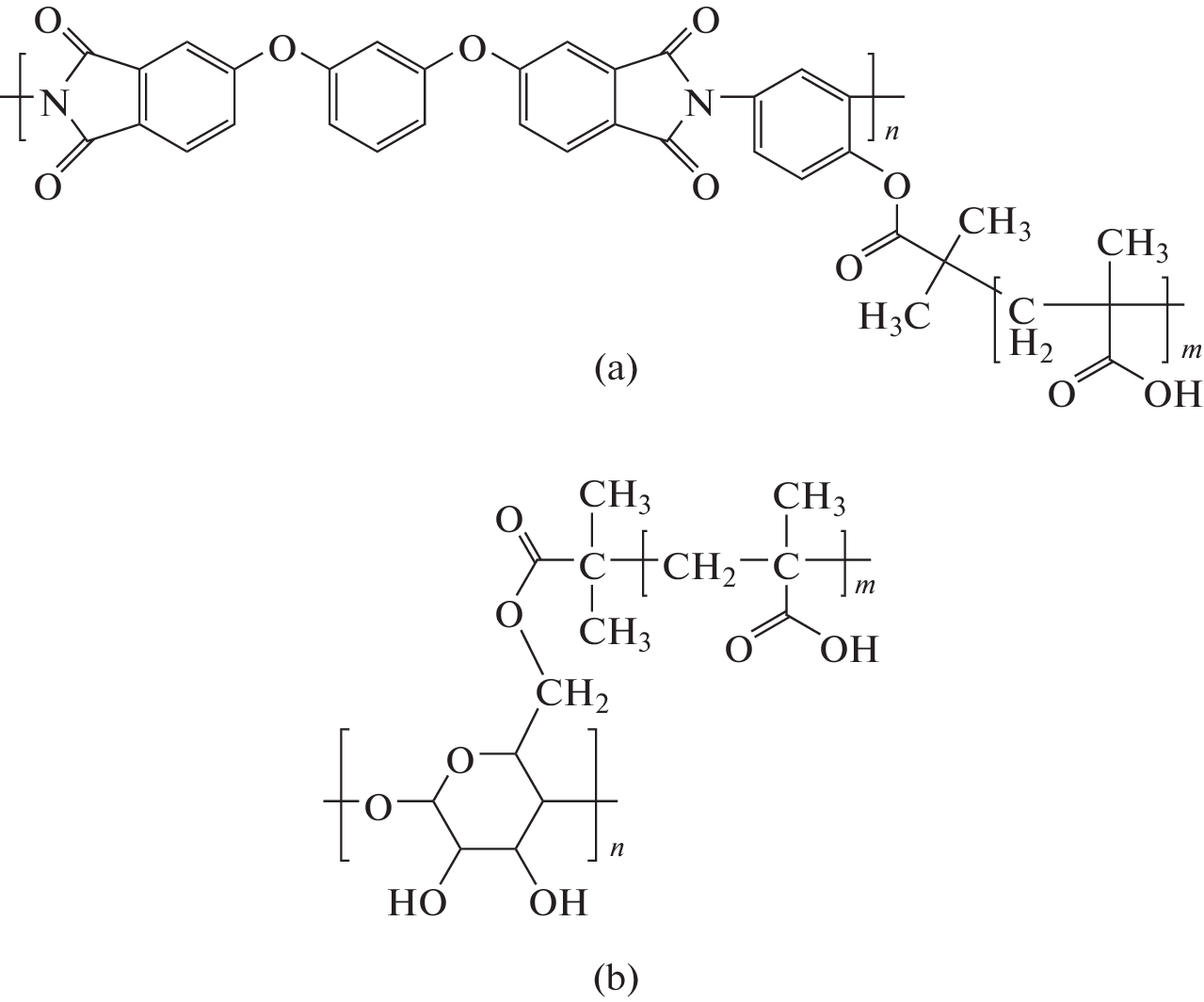 Hybrid Nanosystems Based on Selenium Nanoparticles, Radachlorin, and Polymer Carriers (Graft Copolymers): Synthesis, Morphology, and Spectral Characteristics