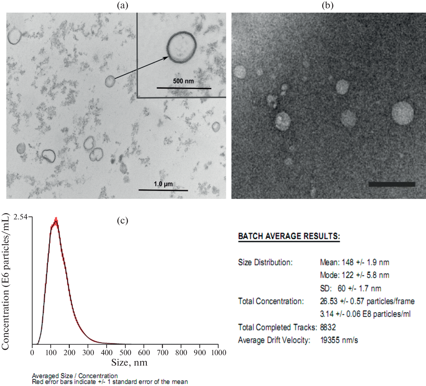 Extracellular Vesicles of Probiotics: From Structural and Functional Characteristics to Practical Application