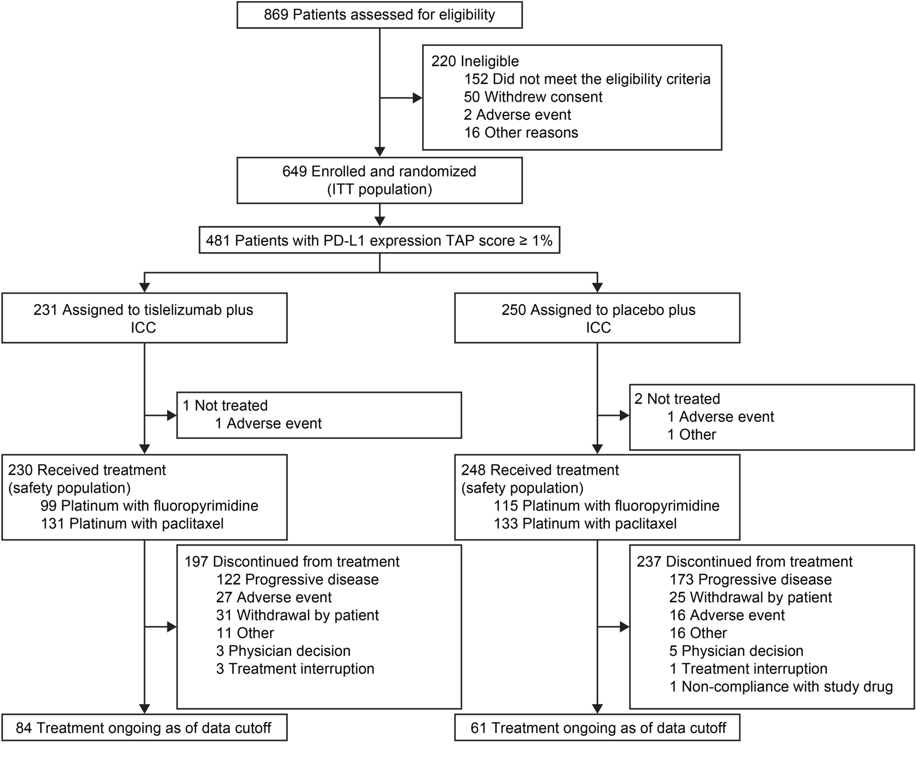 First-Line Tislelizumab Plus Chemotherapy for Esophageal Squamous Cell Carcinoma with Programmed Death-Ligand 1 Expression ≥ 1%: A Retrospective Analysis of RATIONALE-306