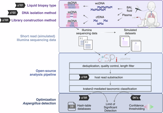 NGS-based Aspergillus detection in plasma and lung lavage of children with invasive pulmonary aspergillosis