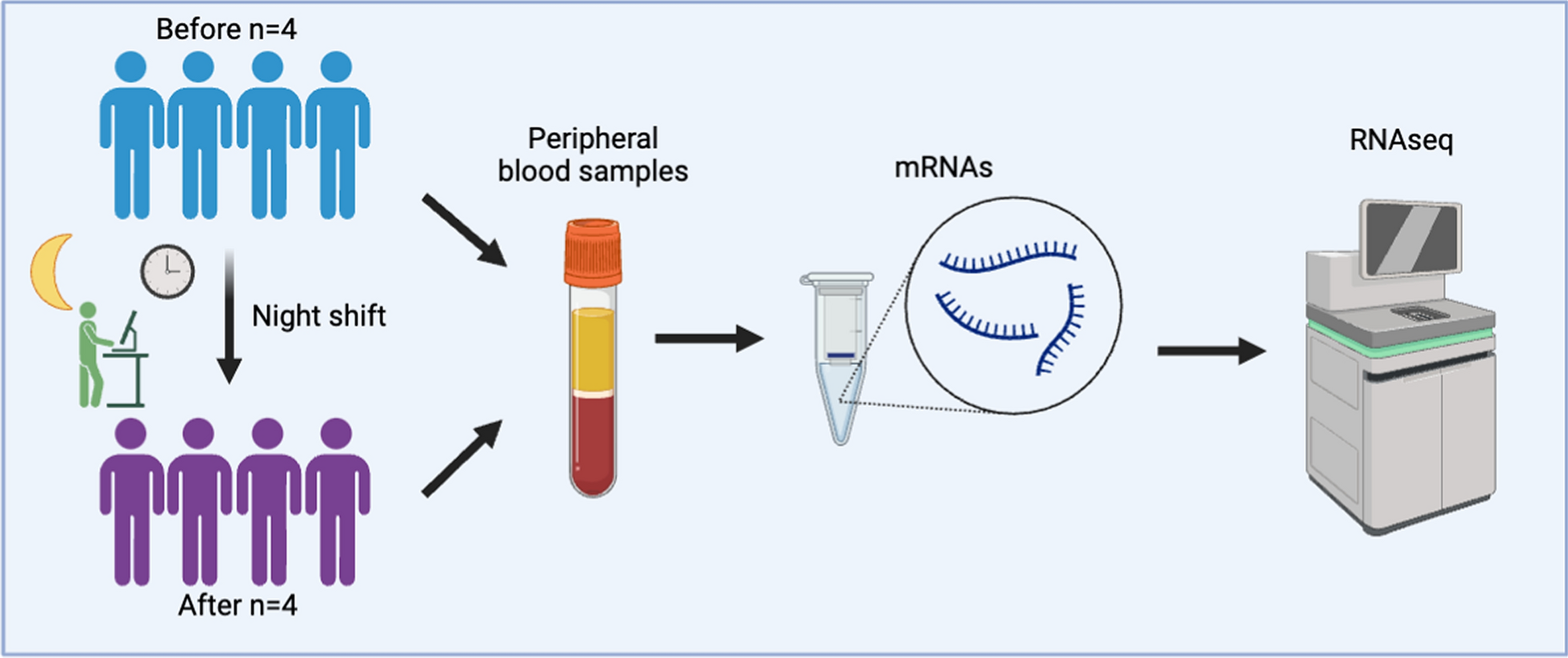 Changes in gene expression in healthcare workers during night shifts: implications for immune response and health risks