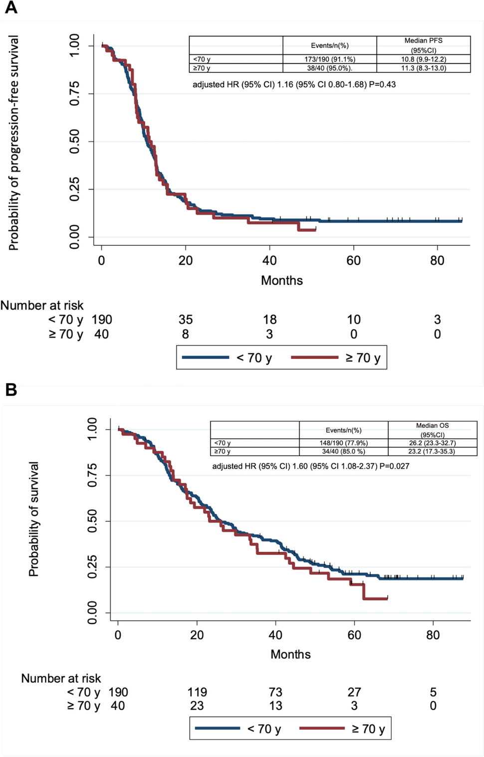 A Post Hoc Analysis of Older Patients with Metastatic Colorectal Cancer Receiving Oxaliplatin-Based Chemotherapy Plus Bevacizumab: The Randomized Obelics Study