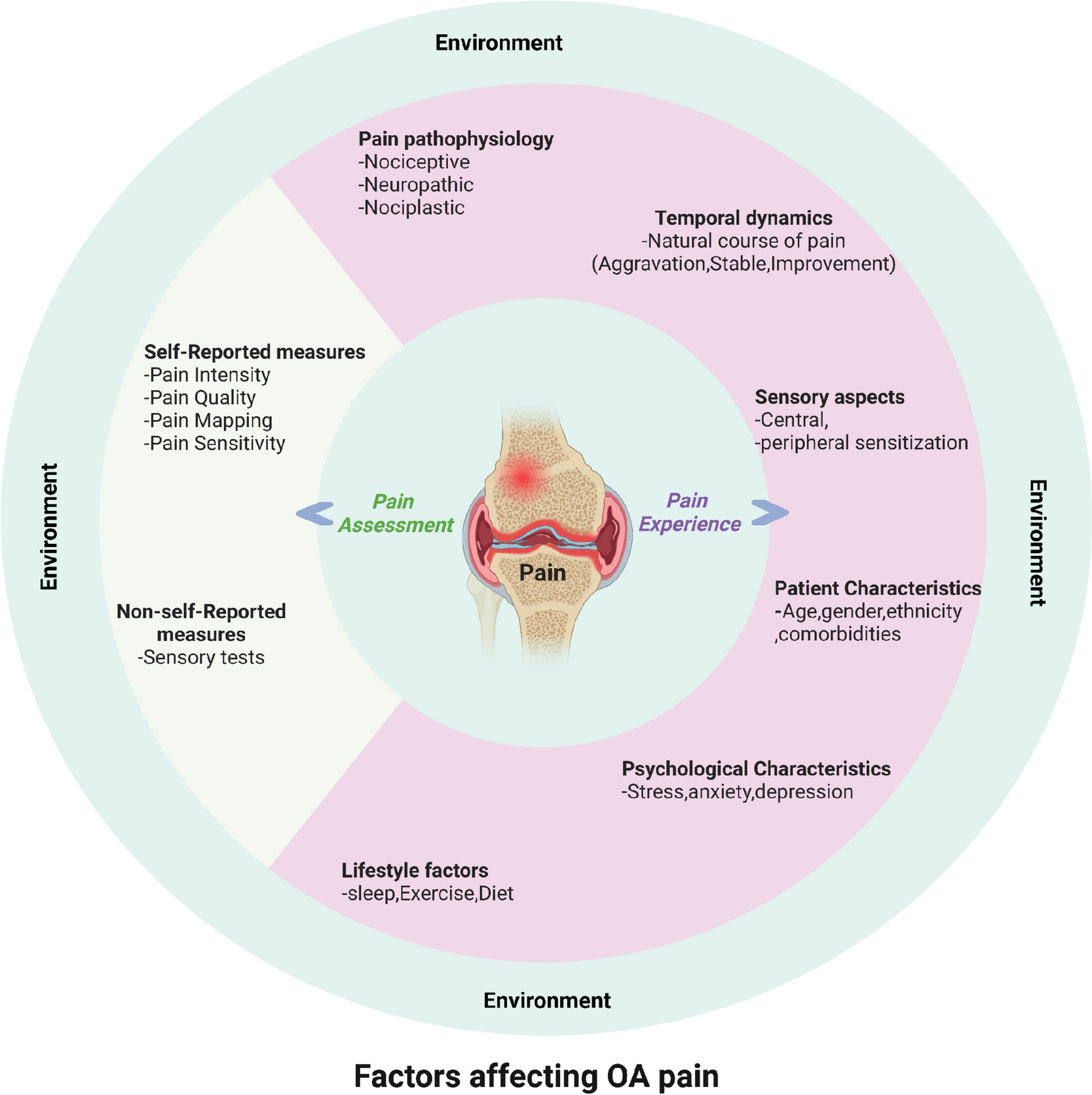 Antidepressants to Manage Osteoarthritic Pain: The Value of Pain Phenotyping