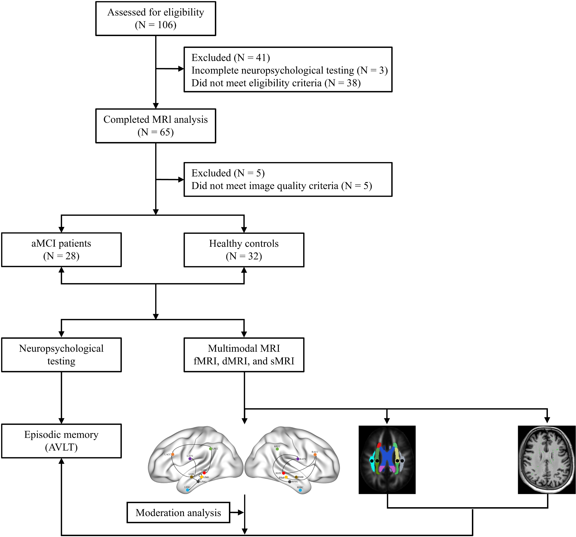 Impact of effective connectivity within the Papez circuit on episodic memory: moderation by perivascular space function