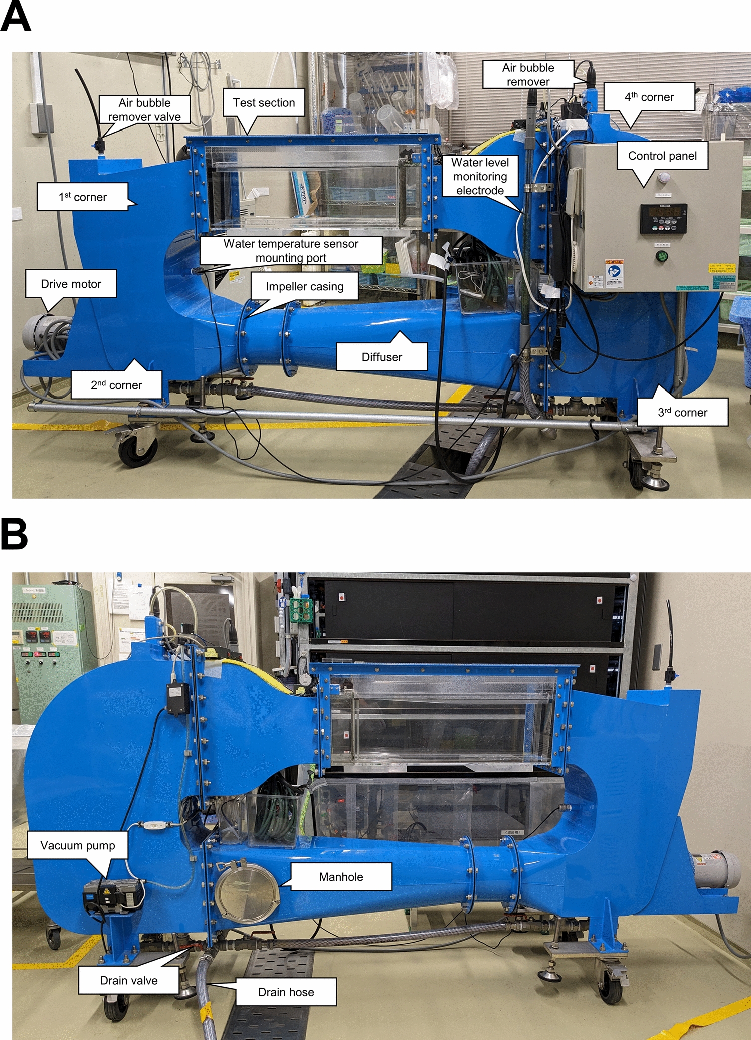 Novel nerve regeneration assessment method using adult zebrafish with crush spinal cord injury