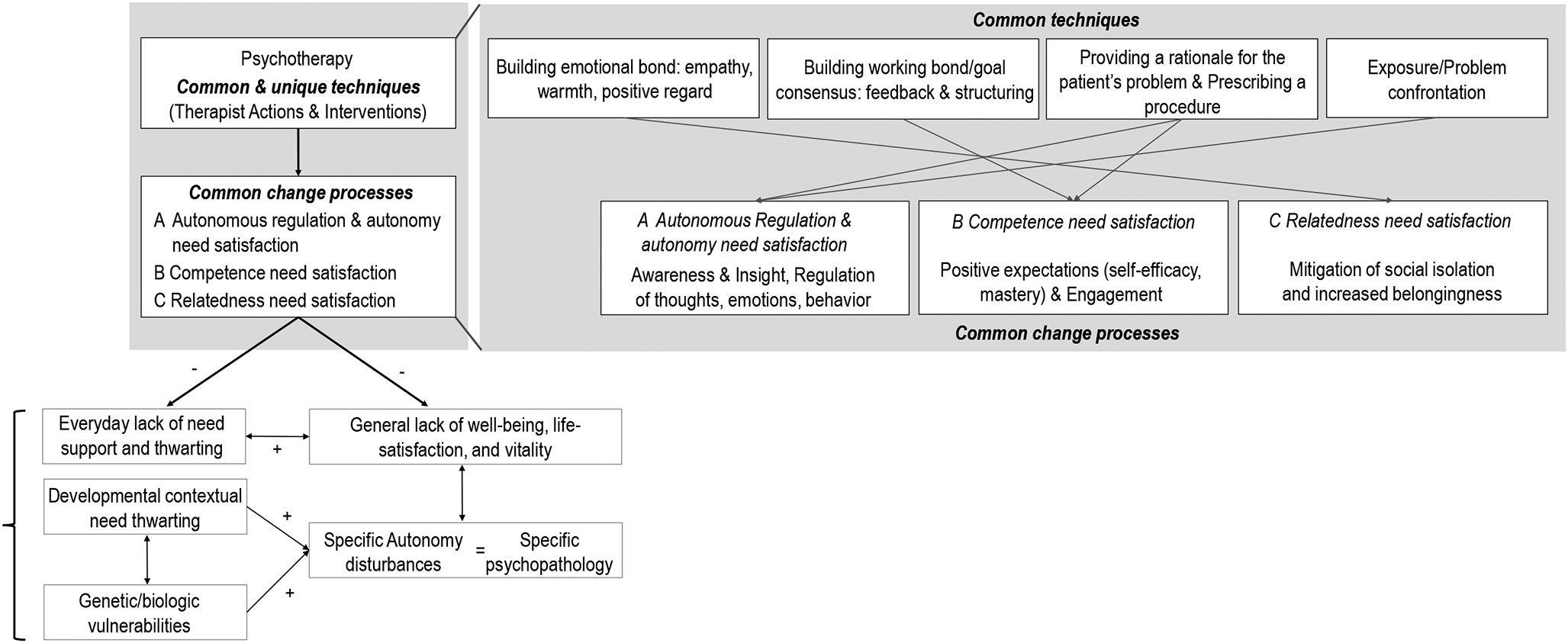 Determining What is Common: A Theoretical Account of Common Factors in Psychotherapy through the Lens of Self-Determination Theory