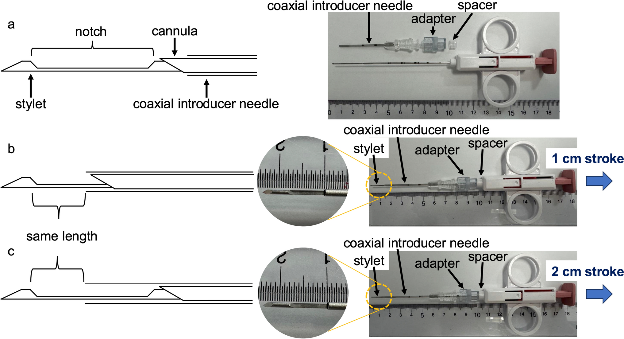 Efficacy of modified technique for 1 cm core needle biopsy using a 2 cm cutting length with coaxial introducer needle