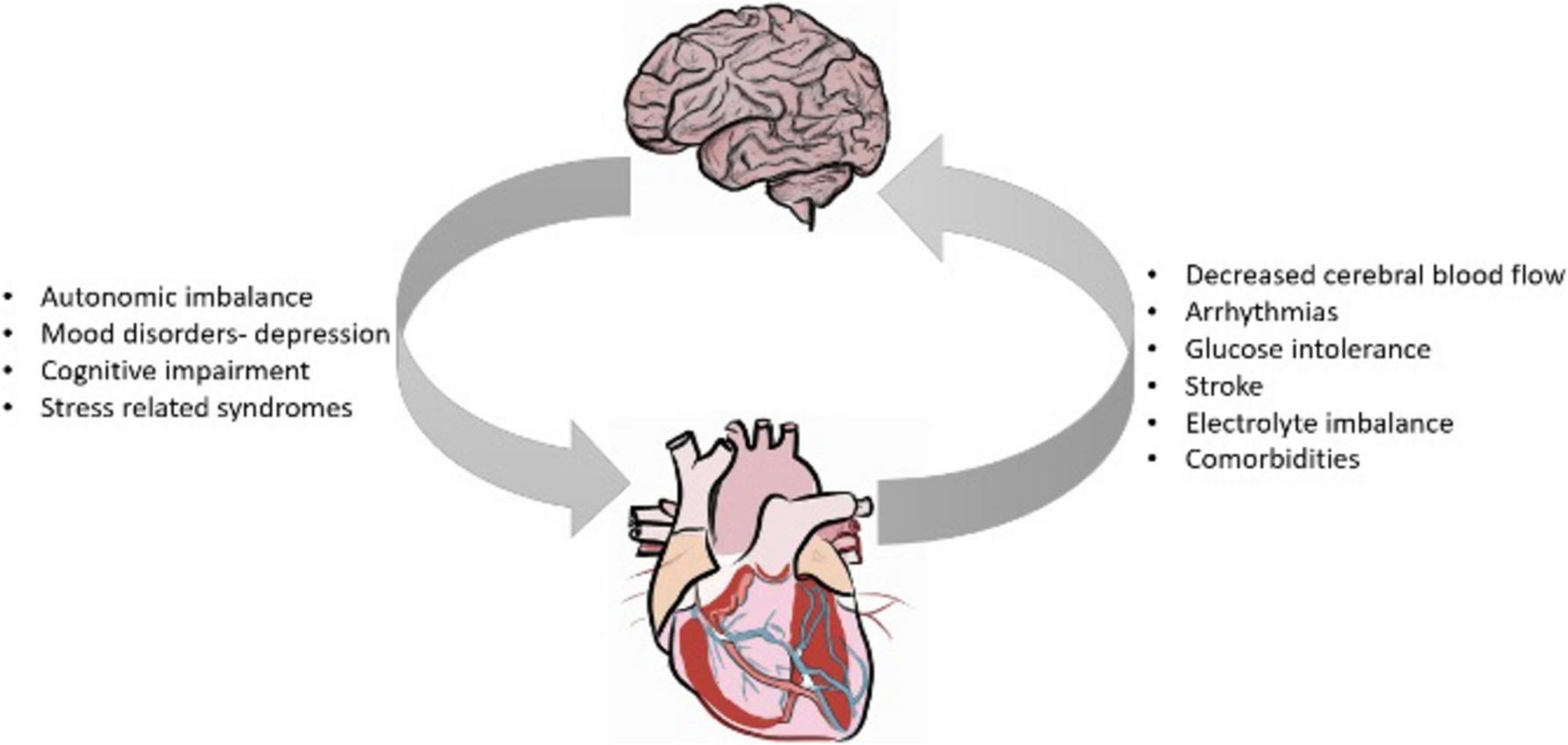 Heart and brain interactions in heart failure: pathophysiological mechanisms and clinical perspectives