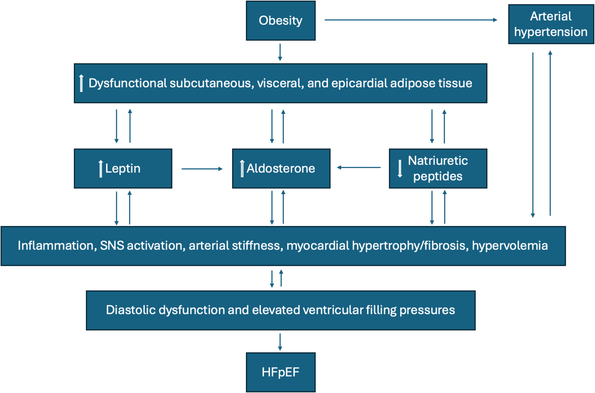 Leptin and heart failure: the chicken or the egg?