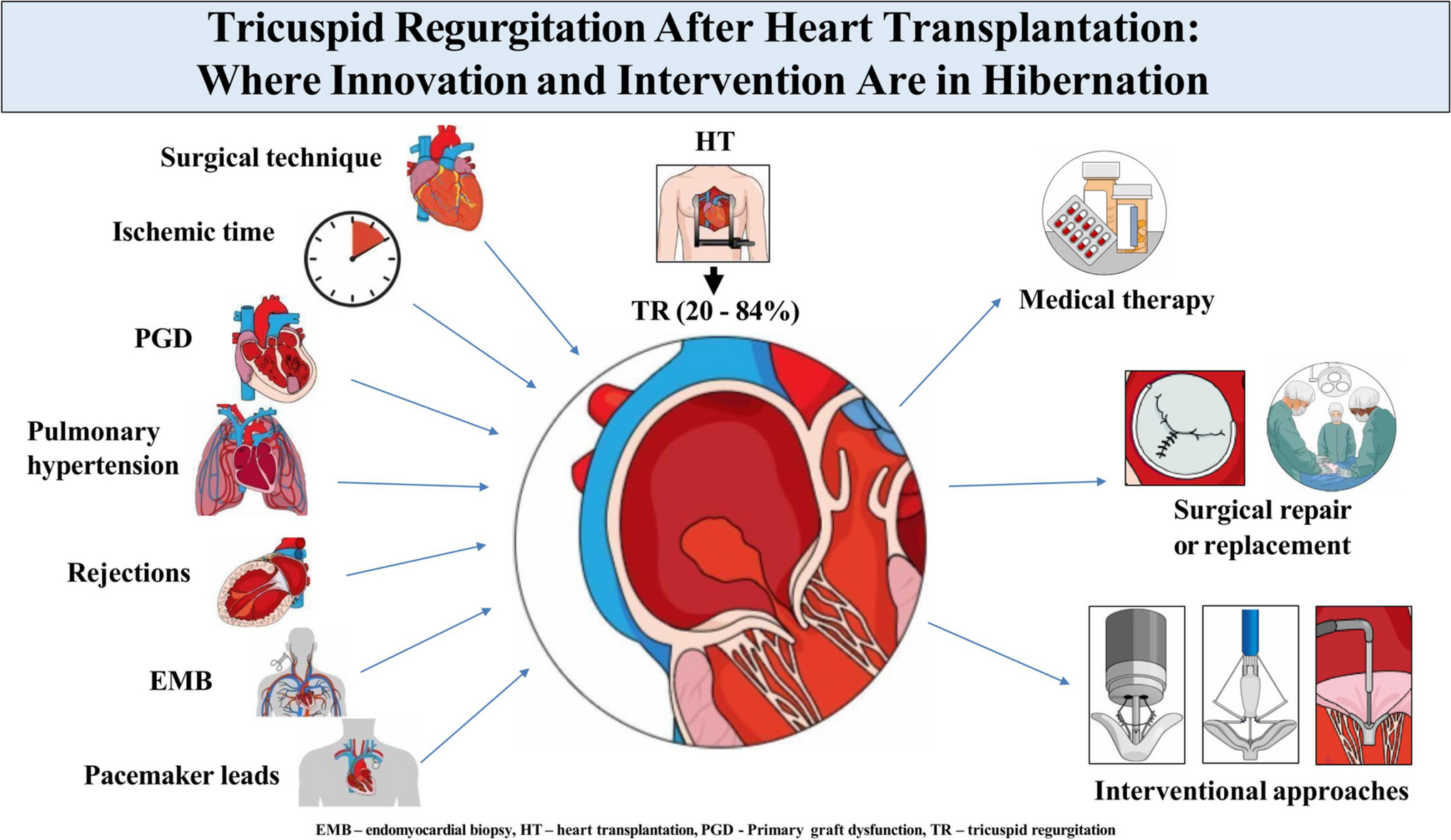 Tricuspid regurgitation after heart transplantation: where innovation and intervention are in hibernation