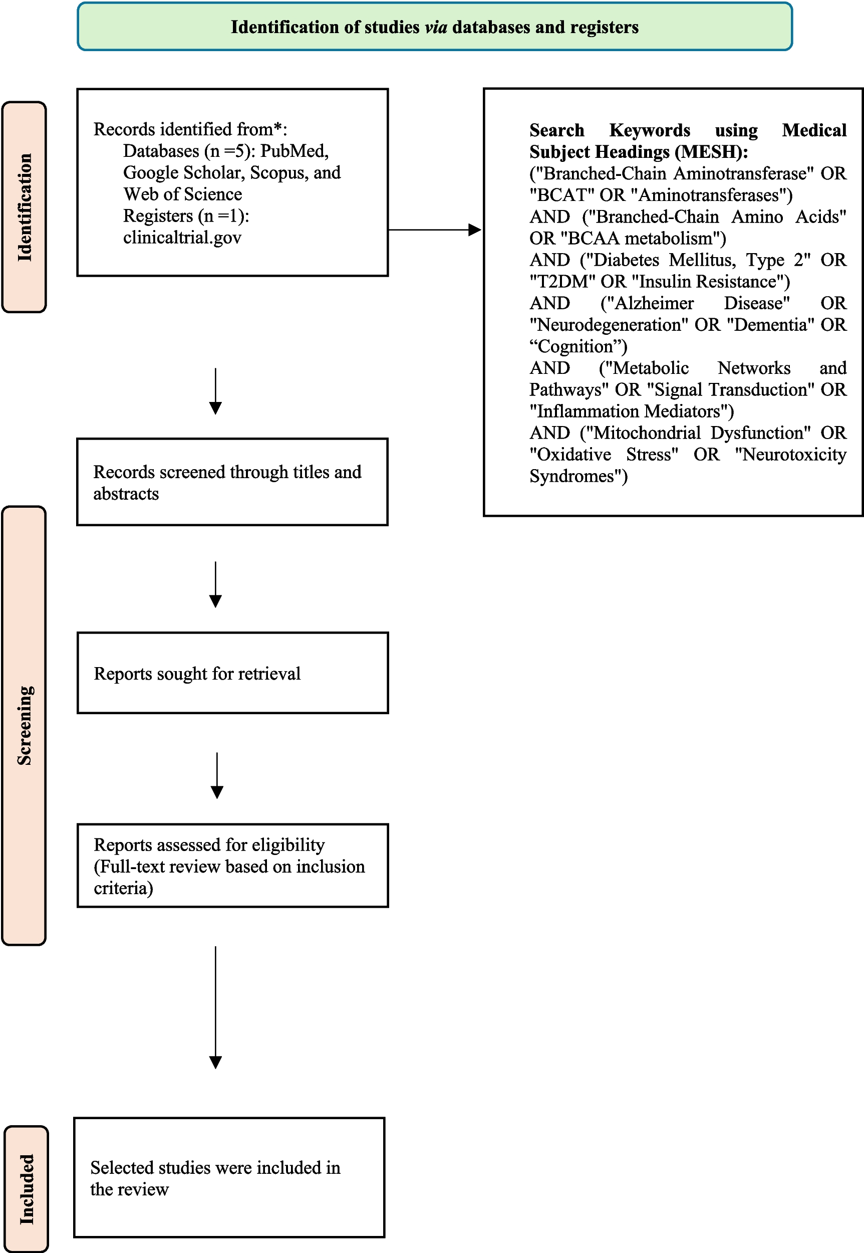 The role of branched chain aminotransferase in the interrelated pathways of type 2 diabetes mellitus and Alzheimer’s disease