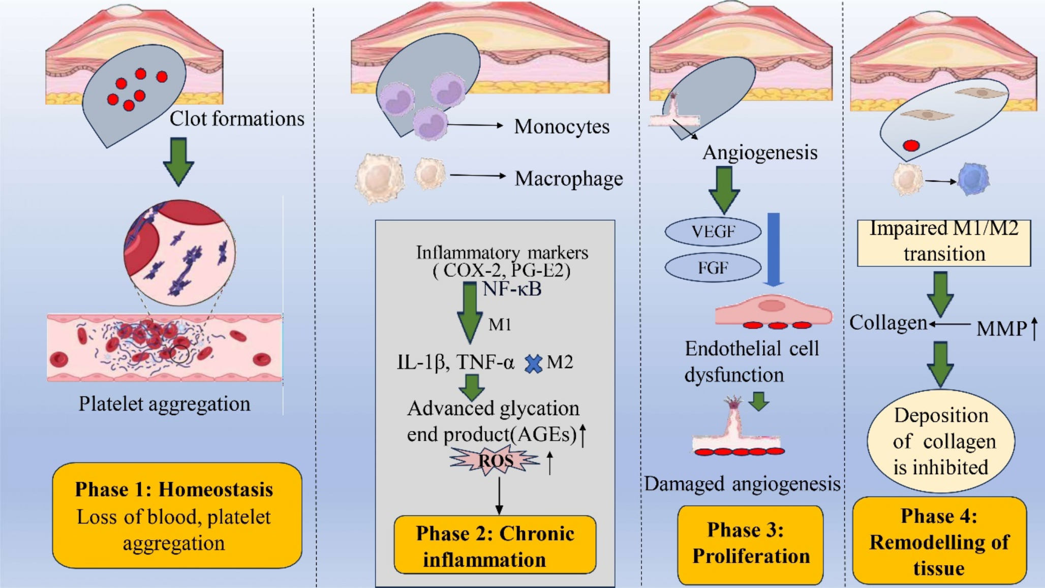 Understanding molecular mechanism of diabetic wound healing: addressing recent advancements in therapeutic managements