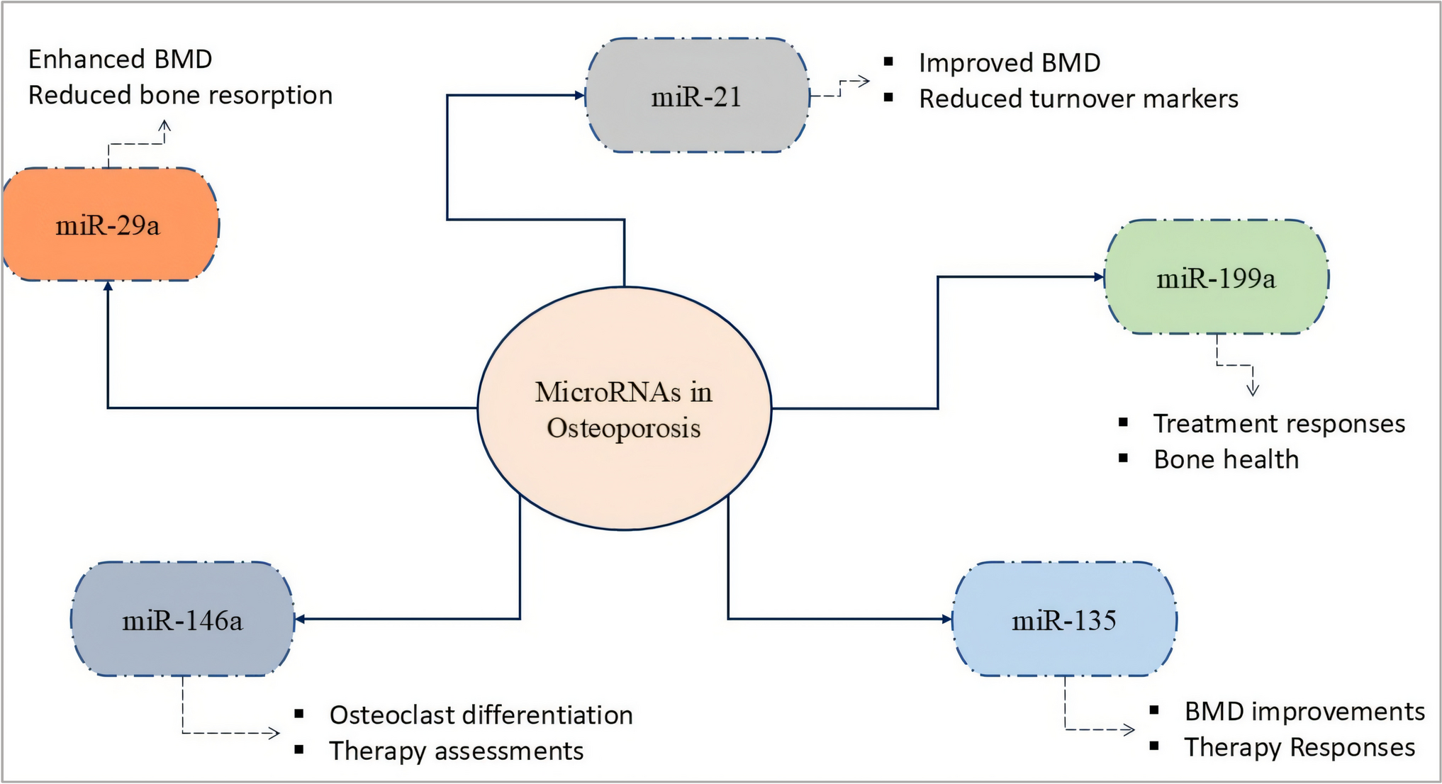 Therapeutic applications of miRNA in the management of obesity and osteoporosis