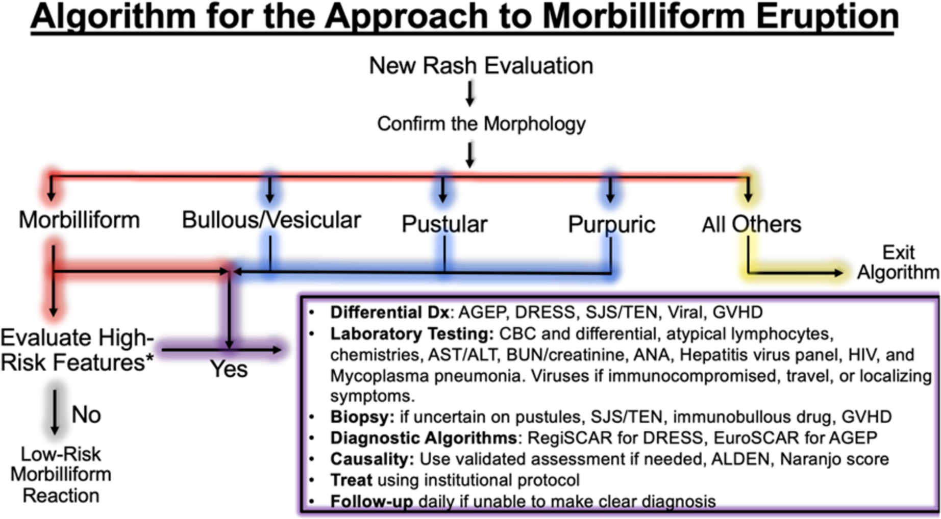 Morbilliform Eruptions: Differentiating Low-Risk Drug Eruptions, Severe Cutaneous Adverse Reactions, Viral Eruptions, and Acute Graft-Versus-Host Disease
