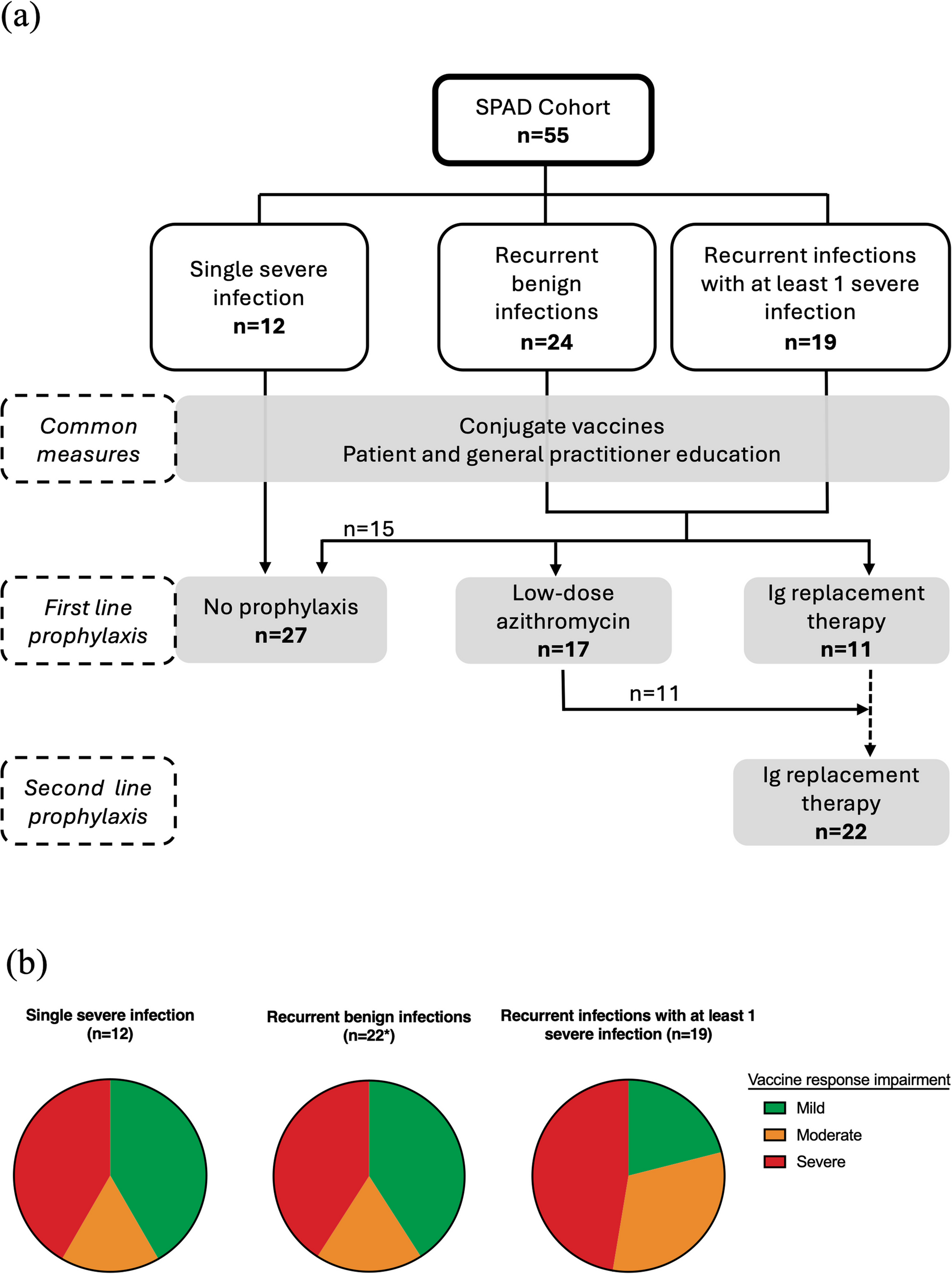 Diagnosis, Characteristics, and Outcome of Selective Anti-polysaccharide Antibody Deficiencies In A Retrospective Cohort of 55 Adult Patients