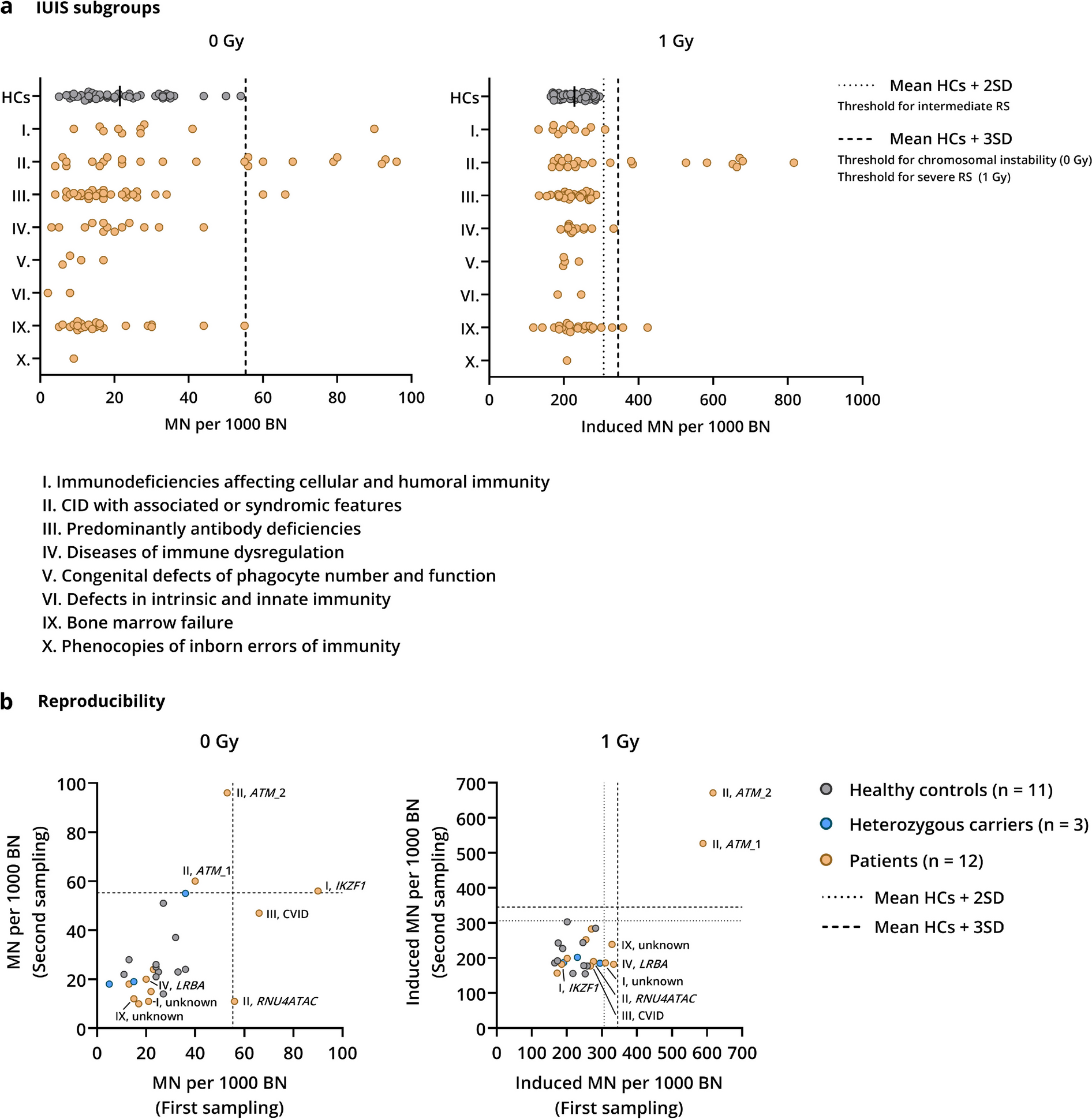 Investigating Chromosomal Radiosensitivity in Inborn Errors of Immunity: Insights from DNA Repair Disorders and Beyond