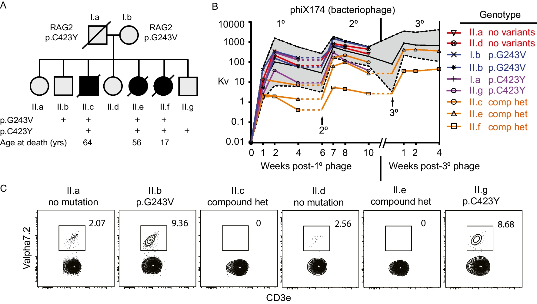 Hypomorphic RAG2 Deficiency Promotes Selection of Self-Reactive B Cells