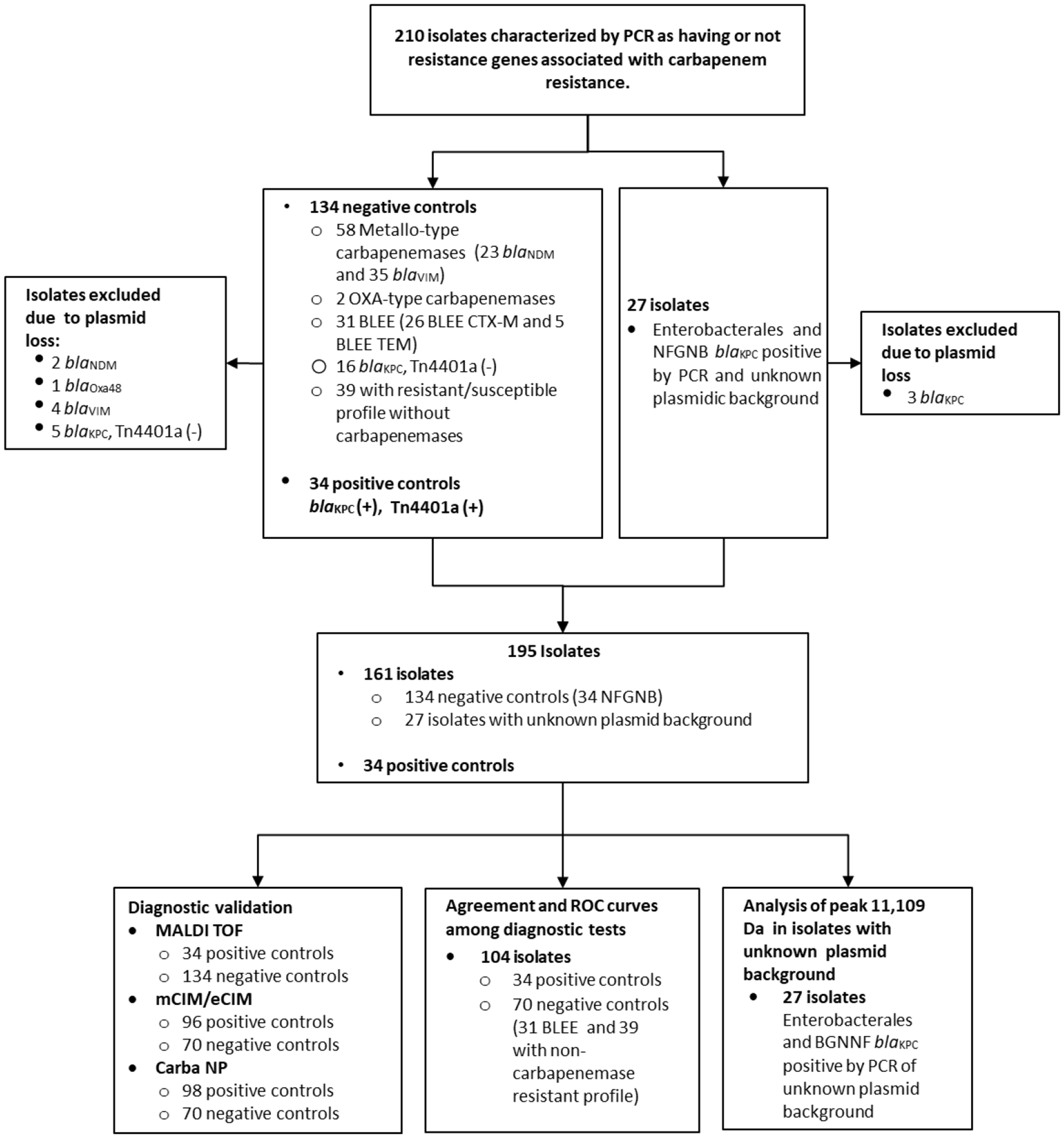 Use of MALDI-TOF VITEK MS for rapid and efficient identification of KPC-type carbapenemases in Enterobacterales carrying the Tn4401a transposon