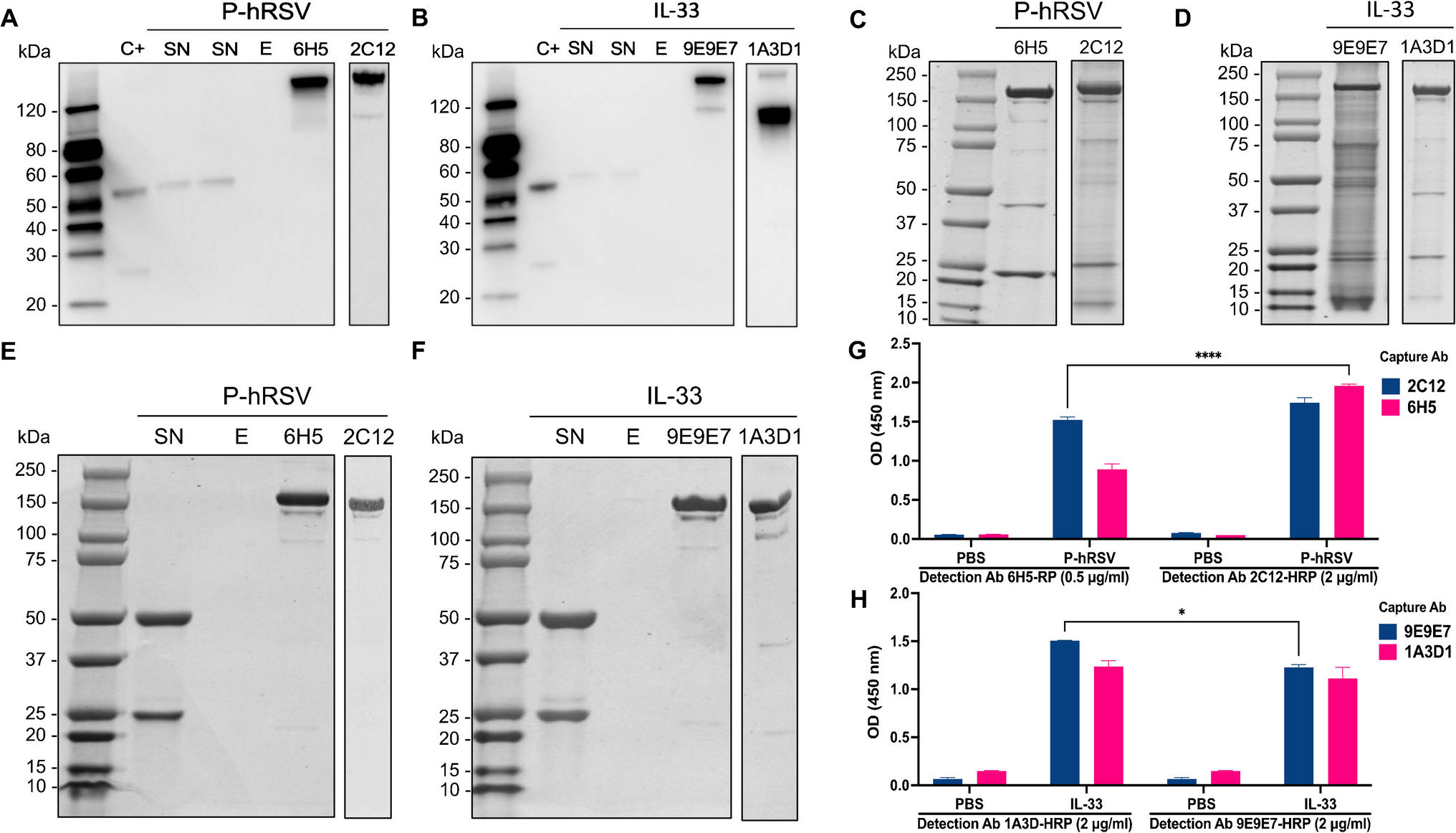 Development of a point-of-care test for the simultaneous detection of respiratory syncytial virus and IL-33 as a disease biomarker in children