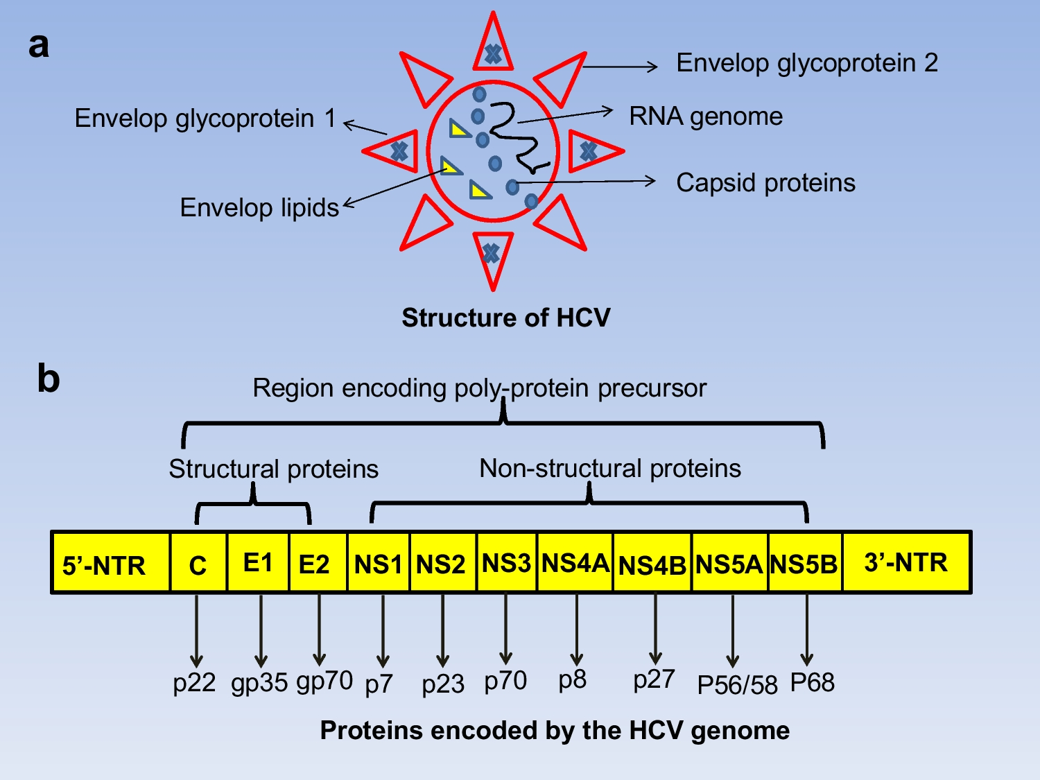 A review of historical landmarks and pioneering technologies for the diagnosis of Hepatitis C Virus (HCV)
