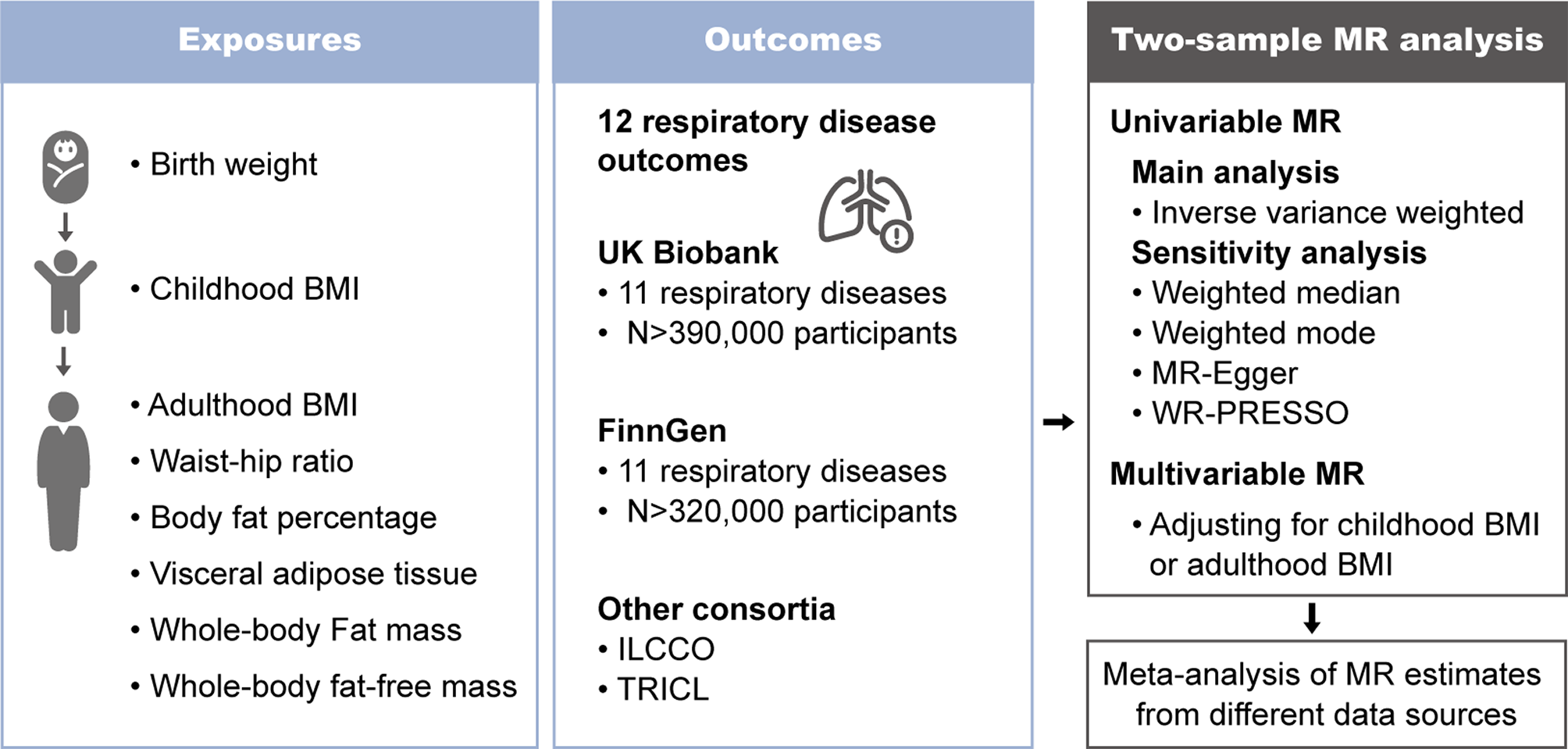 Causal effect of life-course adiposity on the risk of respiratory diseases: a Mendelian randomization study