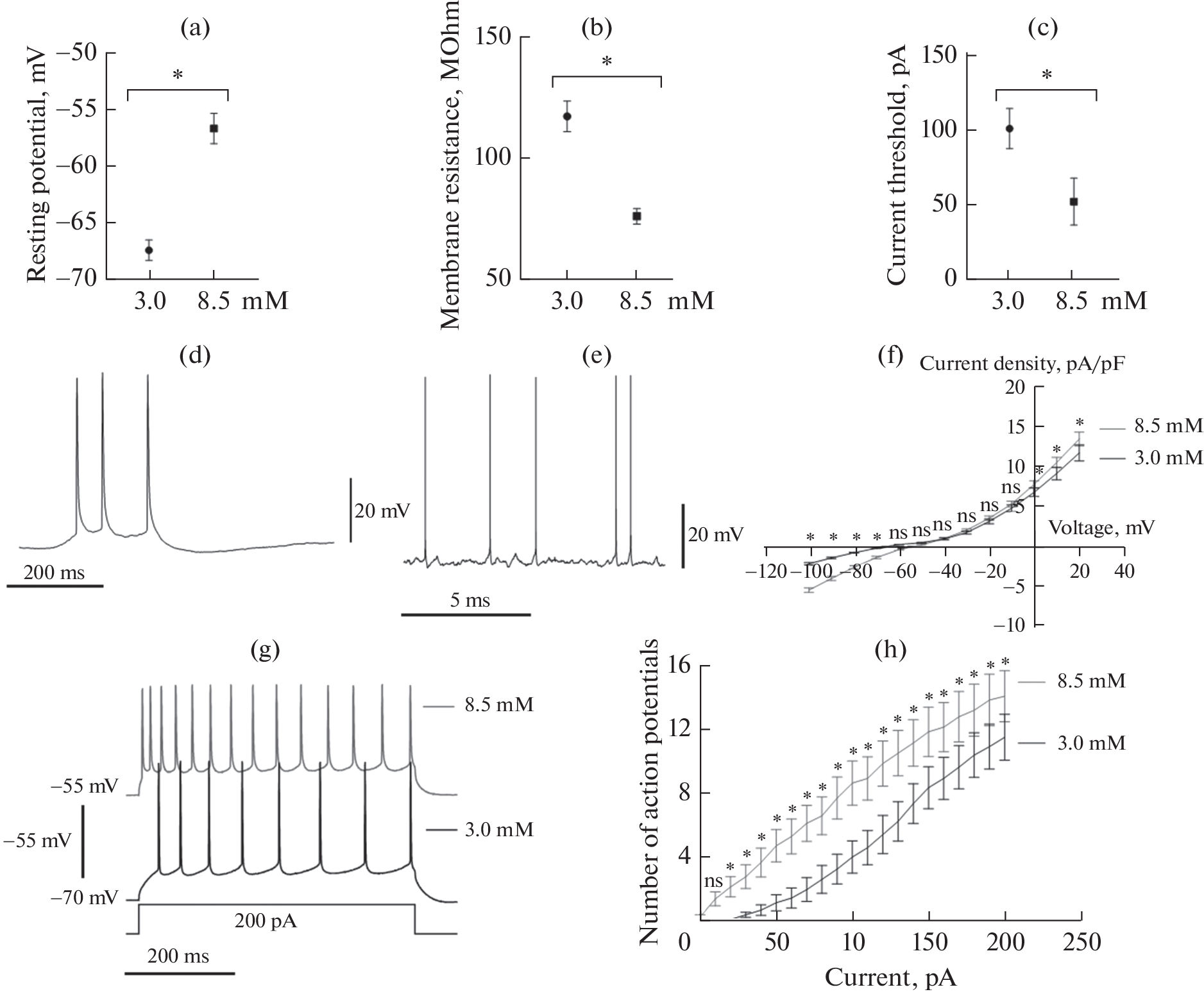 Comparison of Spontaneous and Evoked Activity of CA1 Pyramidal Cells and Dentate Gyrus Granule Cells of the Hippocampus at an Increased Extracellular Potassium Concentration