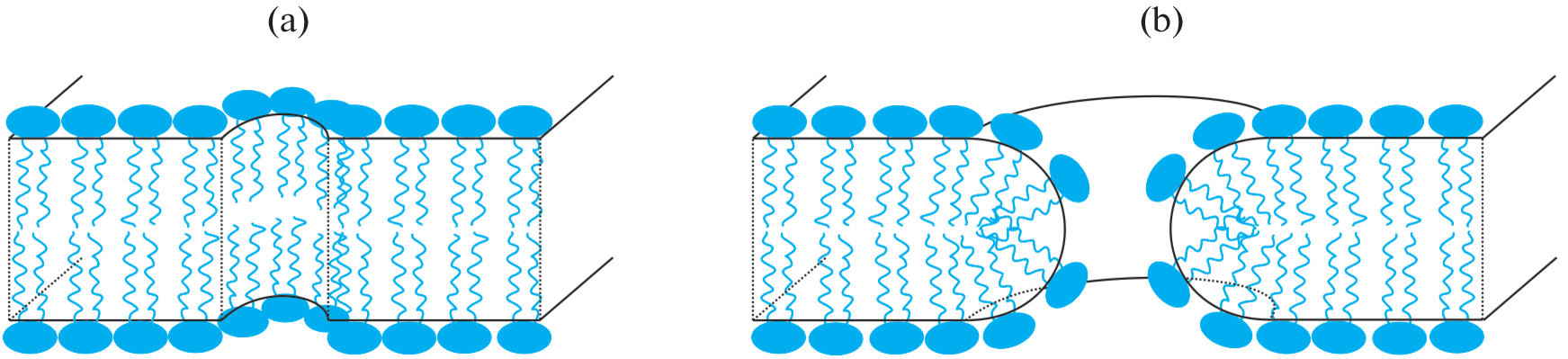 Influence of Membrane Curvature on the Energy Barrier of Pore Formation