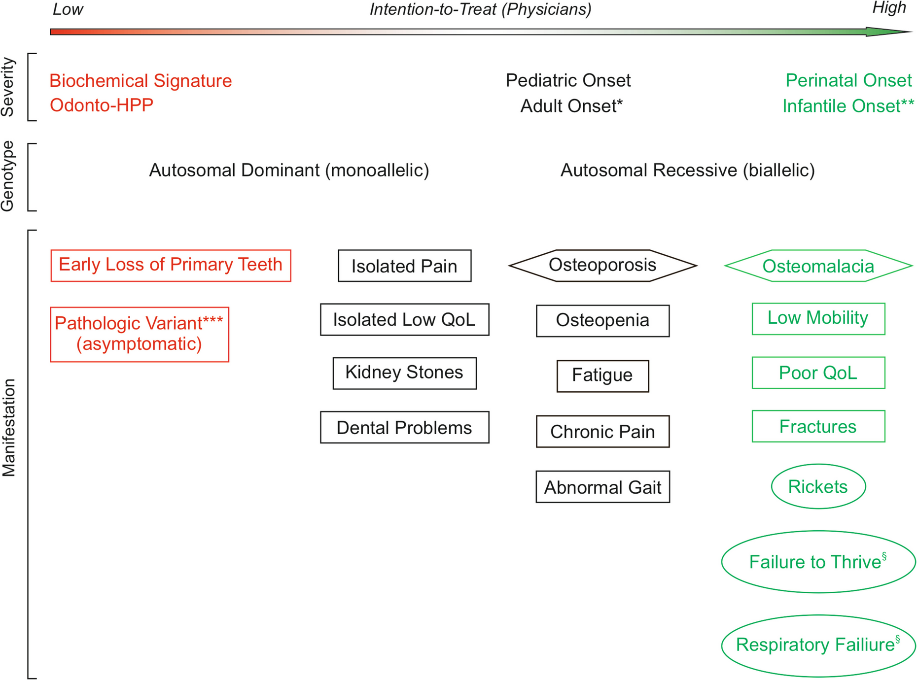 Medical Management of Hypophosphatasia: Review of Data on Asfotase Alfa