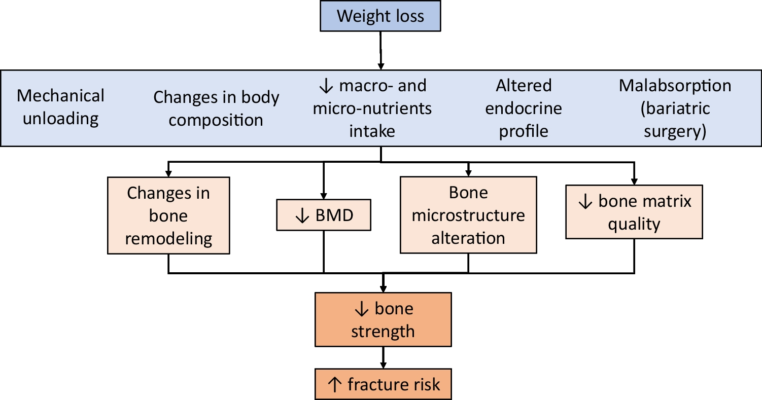 Management of Adverse Skeletal Effects Following Bariatric Surgery Procedures in People Living with Obesity