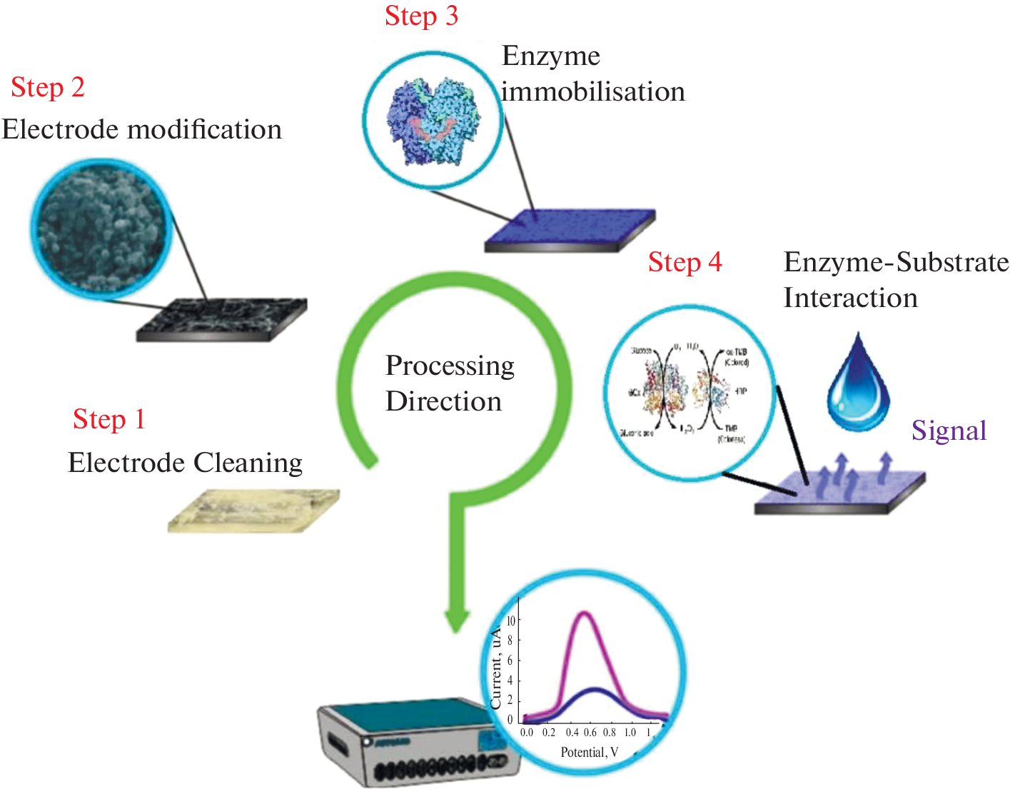 Saliva Glucose Determination by Biosensor: Method Comparison to Chemiluminescence Immunoassay