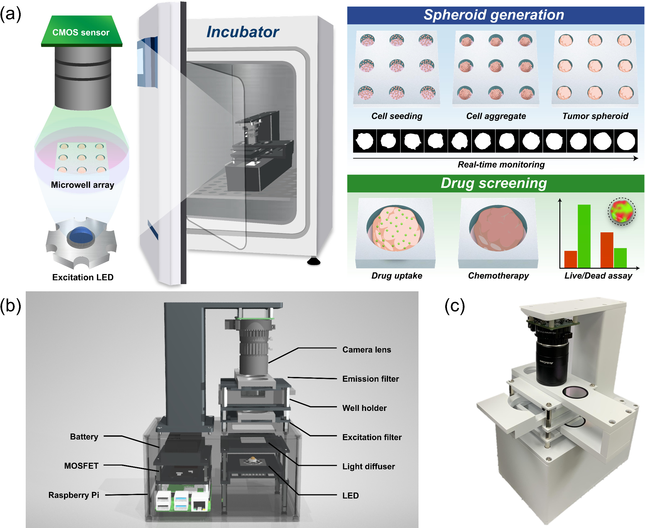 Real-time monitoring and quantitative analysis of 3D tumor spheroids using portable cellular imaging system