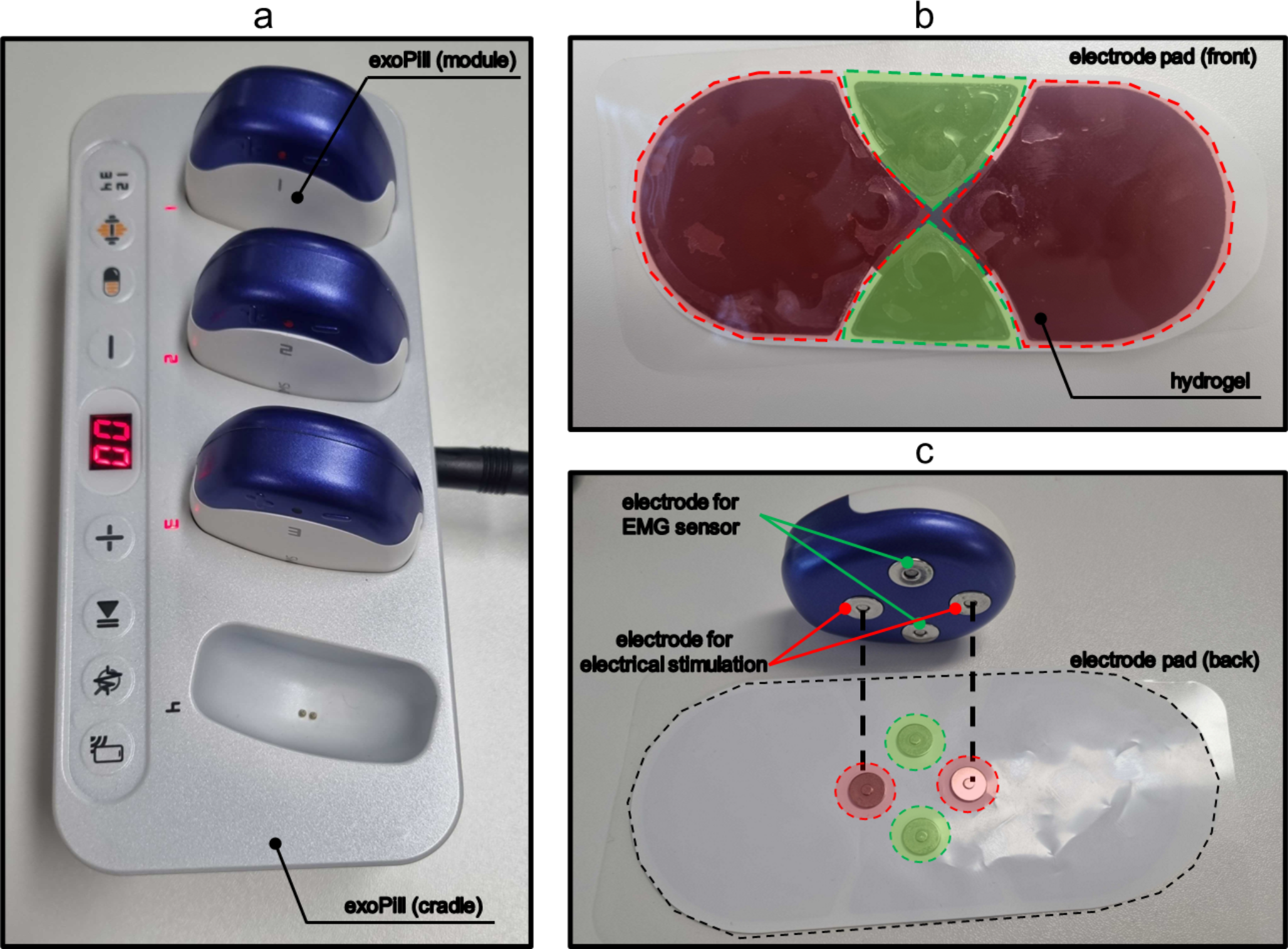 A wearable approach for Sarcopenia diagnosis using stimulated muscle contraction signal