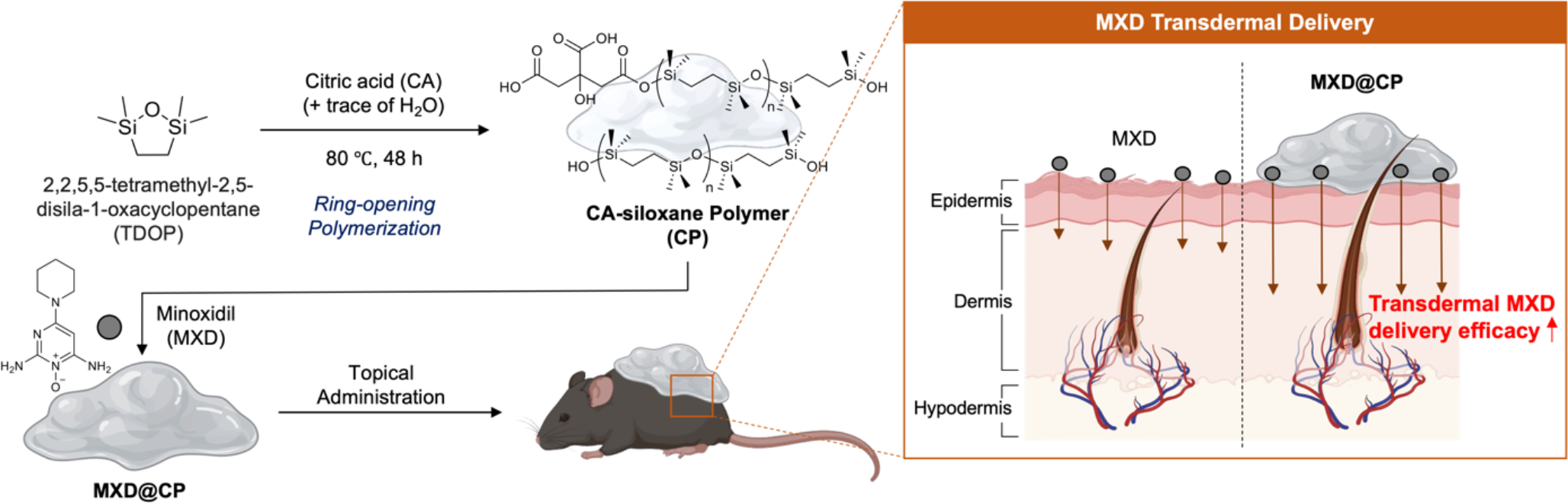 Dimethylsiloxane polymers for the effective transdermal delivery of Minoxidil in hair loss treatment