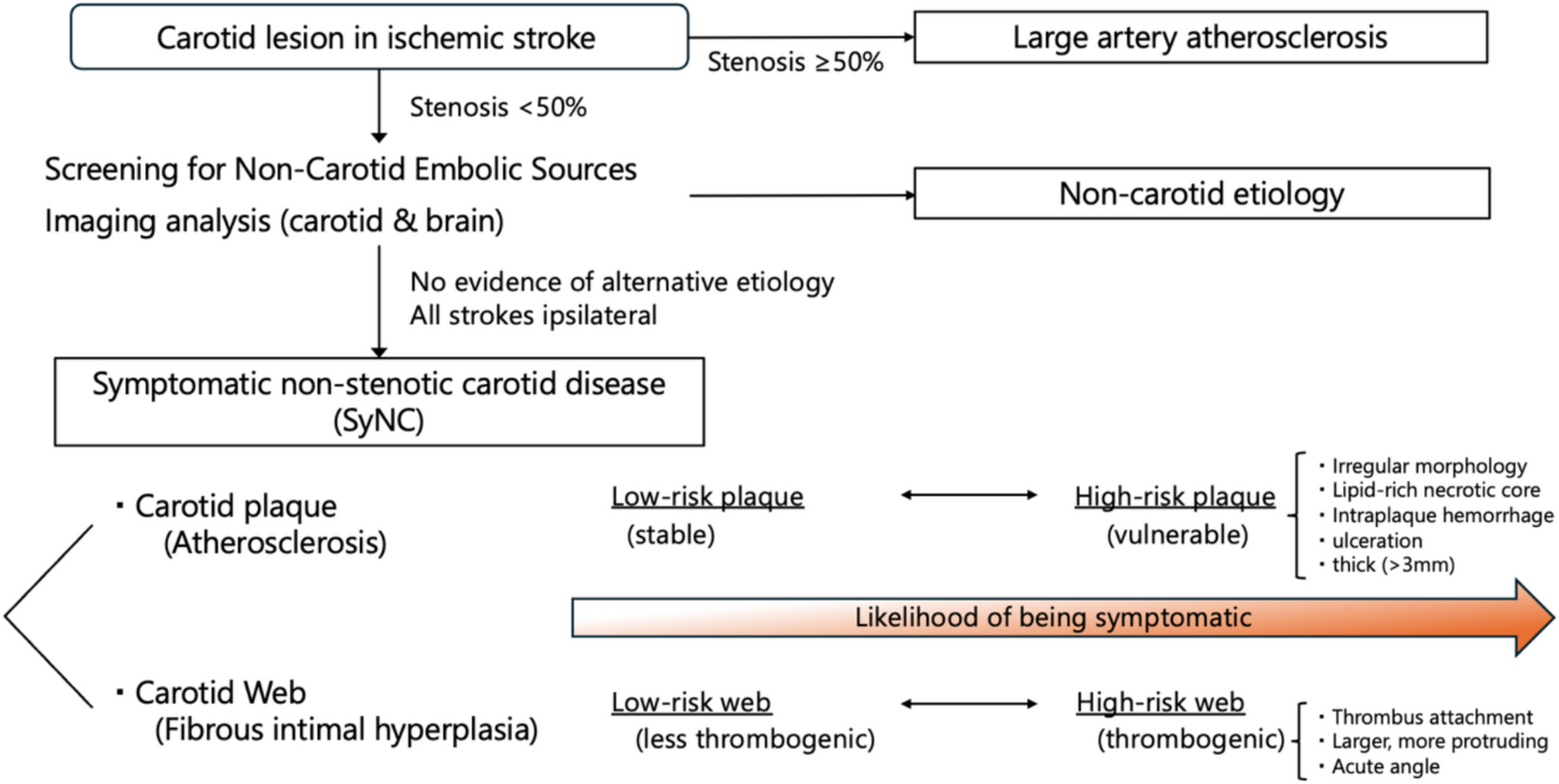 Treatment of Symptomatic Carotid Webs: Current Evidence and Future Directions