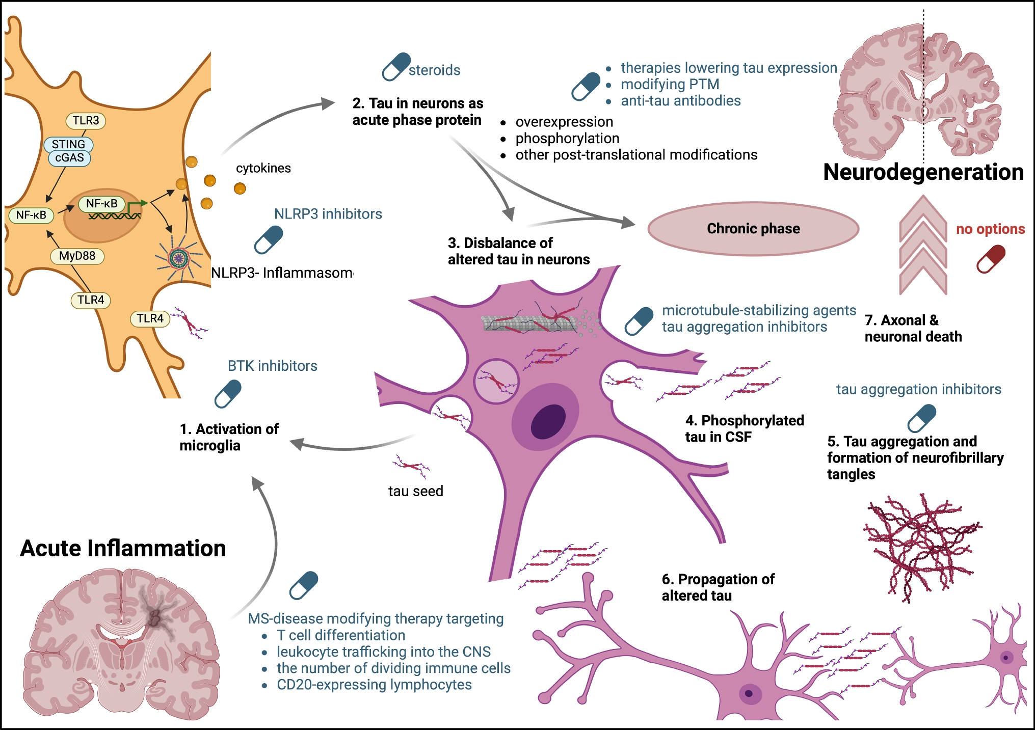 Tau in Multiple Sclerosis: A Review of Therapeutic Potential
