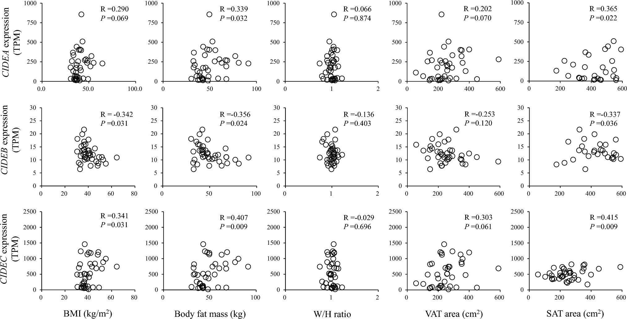 CIDEC is most closely associated with fat storage in human adipose tissue among CIDE family isoforms in severely obese subjects: a cross-sectional study