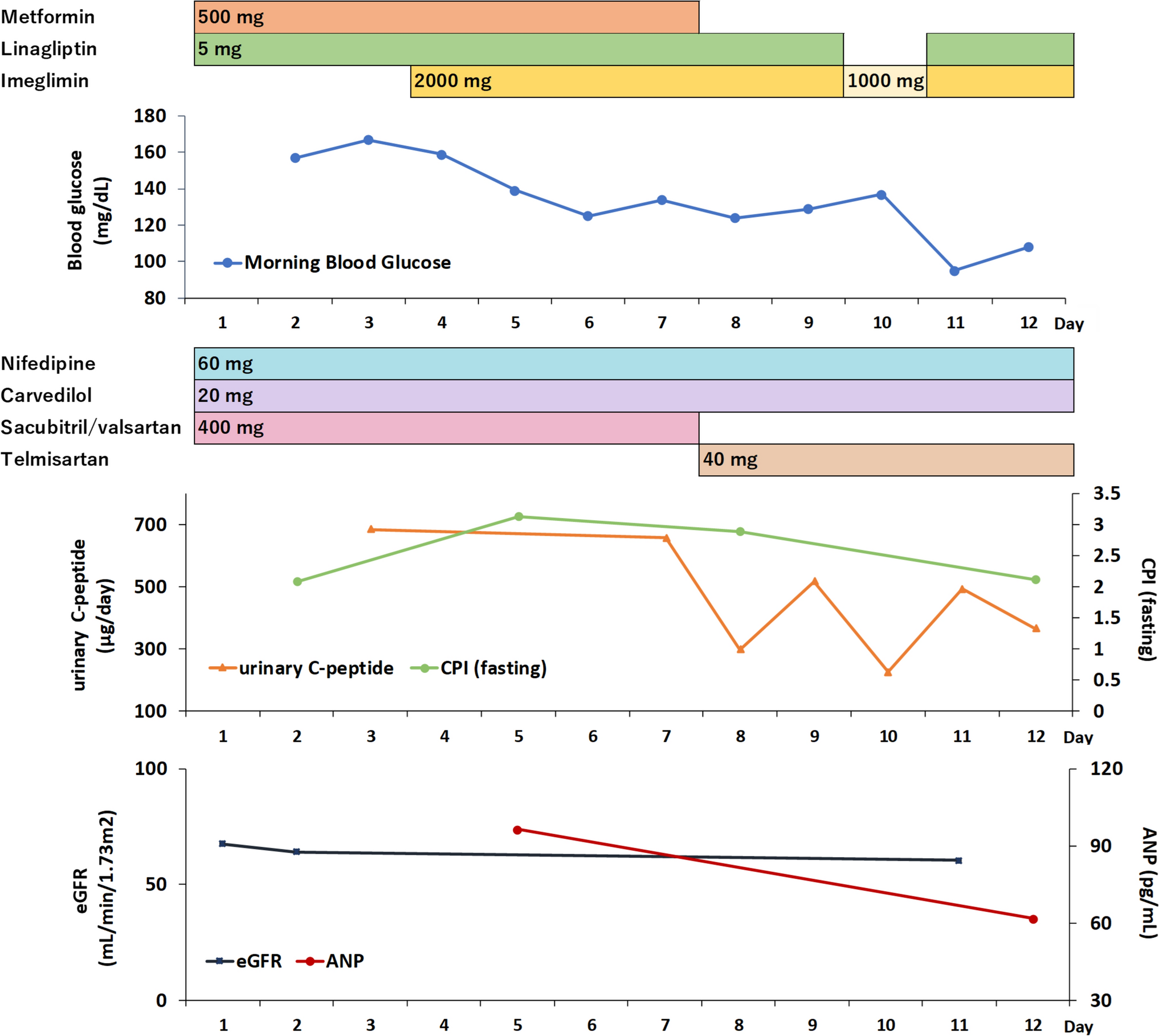 Longitudinal monitoring of urinary C-peptide levels following discontinuation of sacubitril/valsartan in a type 2 diabetes patient: a case report and literature review