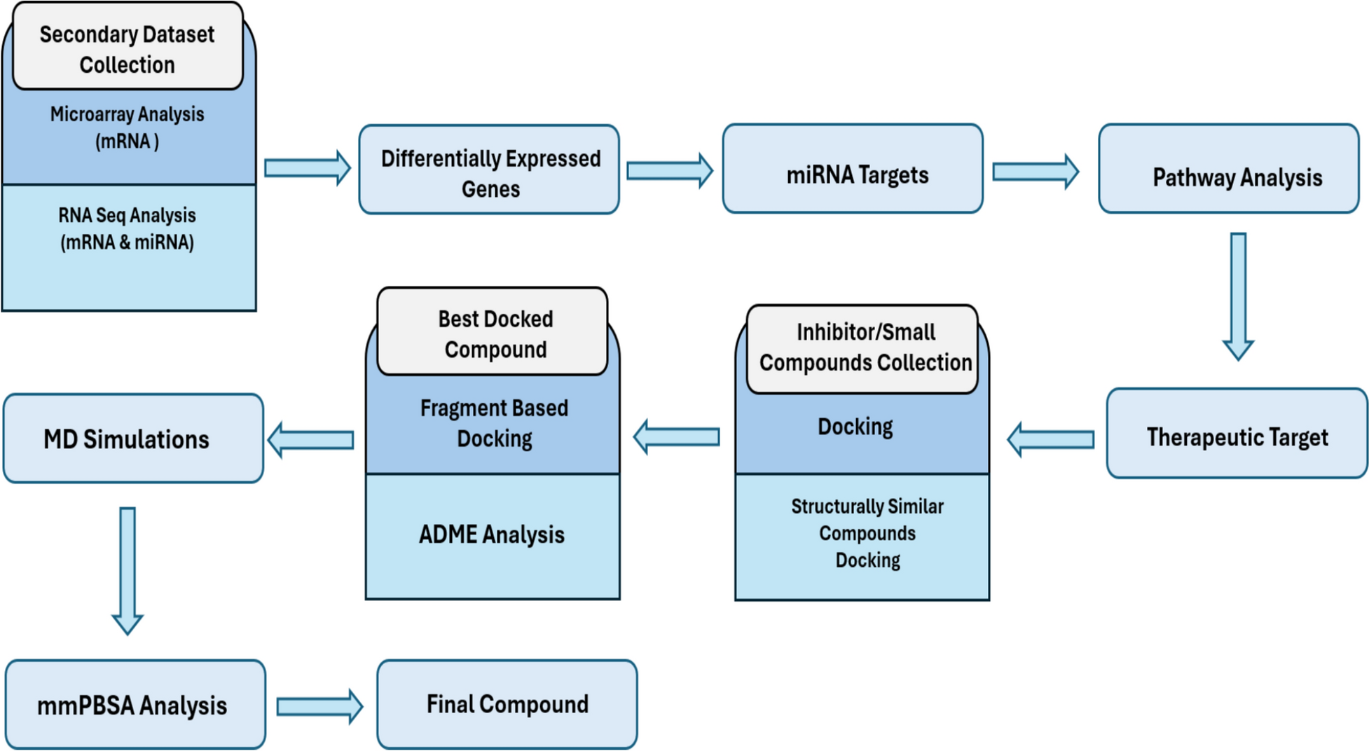 Discovering promising drug candidates for Parkinson’s disease: integrating miRNA and DEG analysis with molecular dynamics and MMPBSA