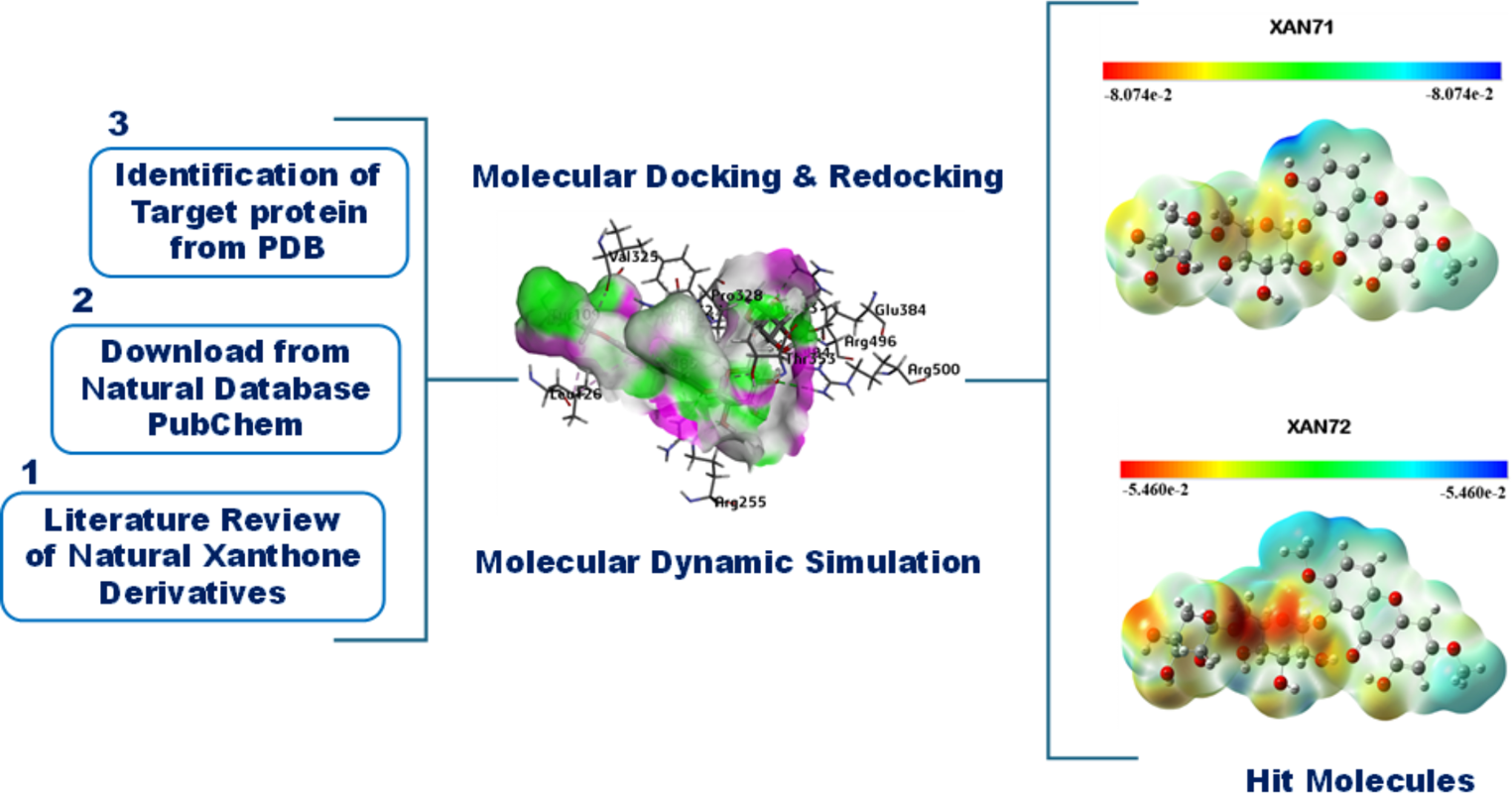 In silico exploration of natural xanthone derivatives as potential inhibitors of severe acute respiratory syndrome coronavirus 2 (SARS-CoV-2) replication and cellular entry