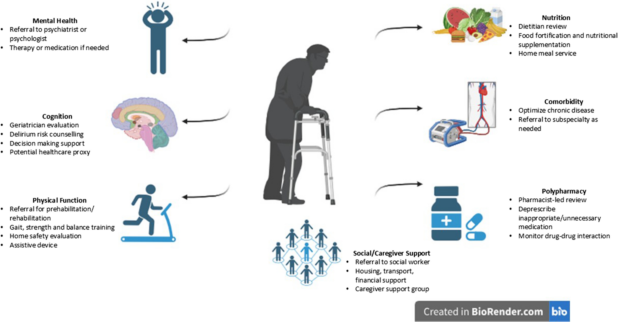 Role of Geriatric Assessment in Hematopoietic Stem Cell Transplant and Cellular Therapies