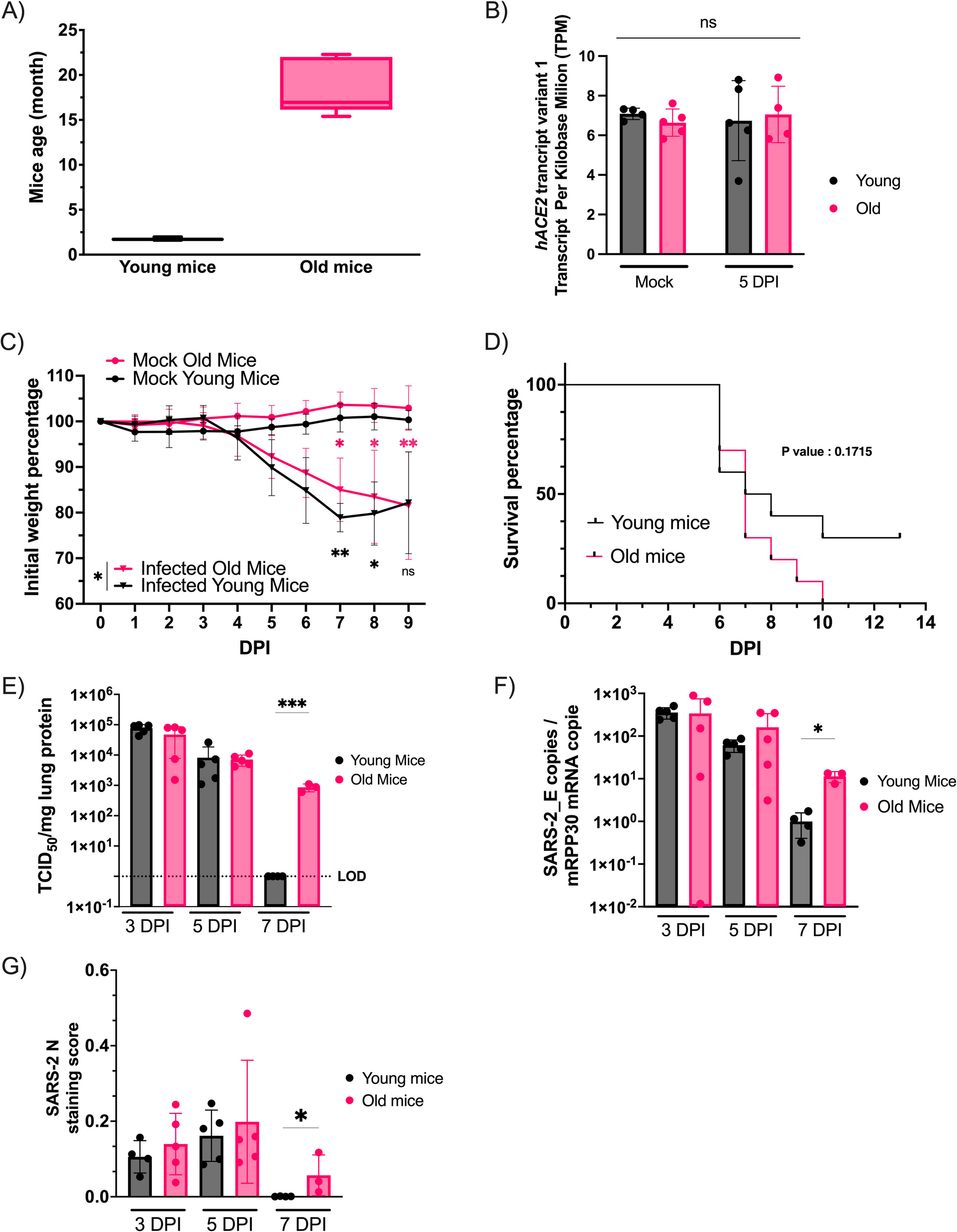 Delayed viral clearance and altered inflammatory responses affect severity of SARS-CoV-2 infection in aged mice