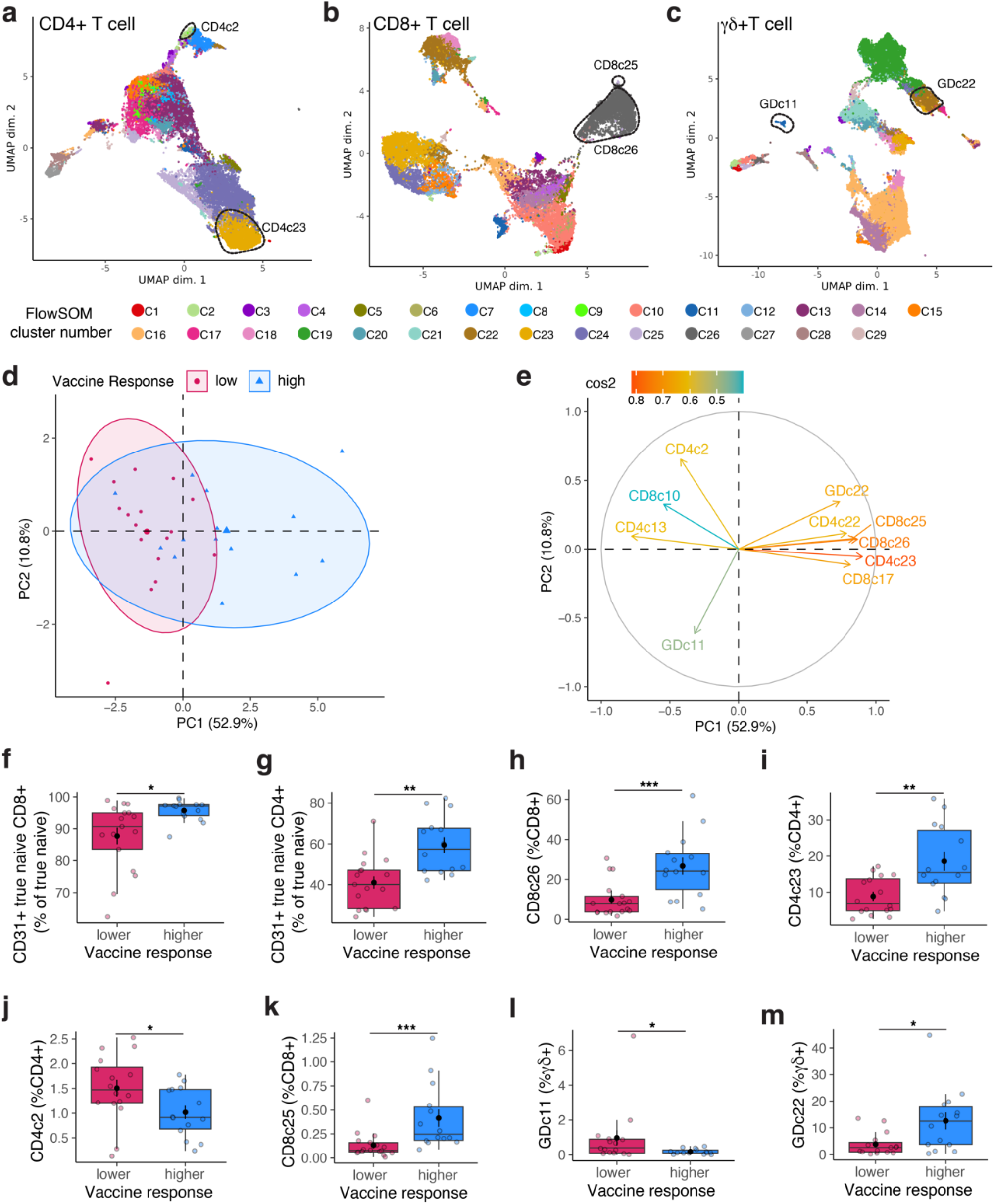 CD31 + naïve T cells associate with immunosenescence and responsiveness to multiple vaccines in older adults